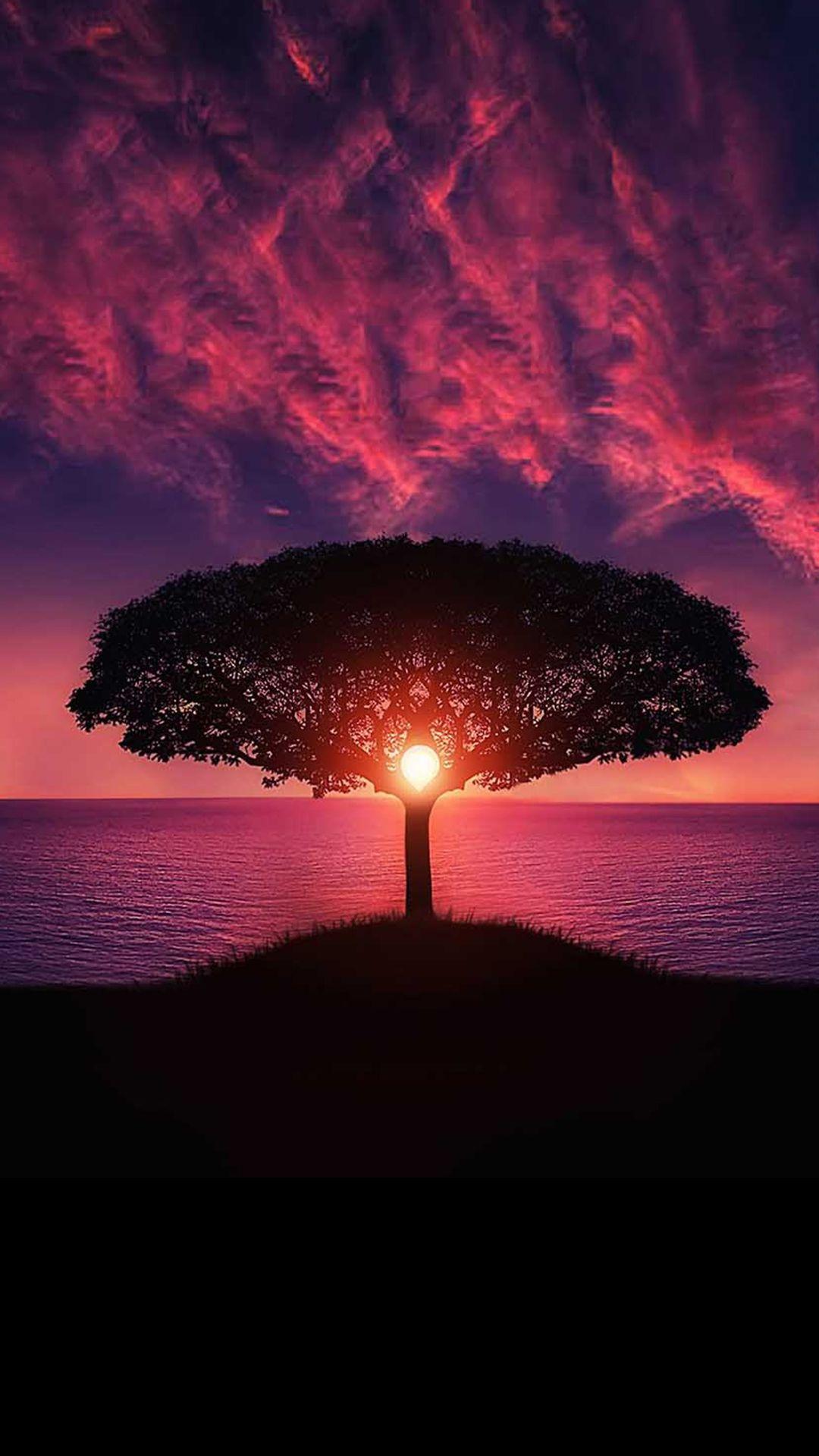 Sunset Phone Wallpapers Top Free Sunset Phone Backgrounds