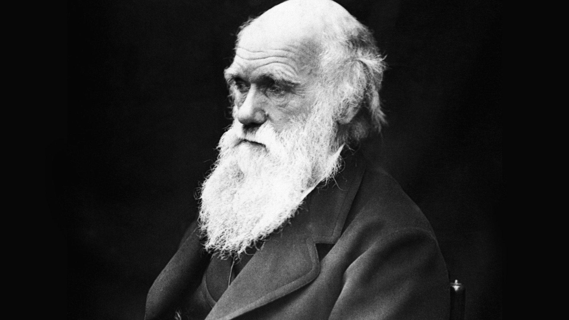 Charles Darwin Wallpapers - Top Free Charles Darwin Backgrounds