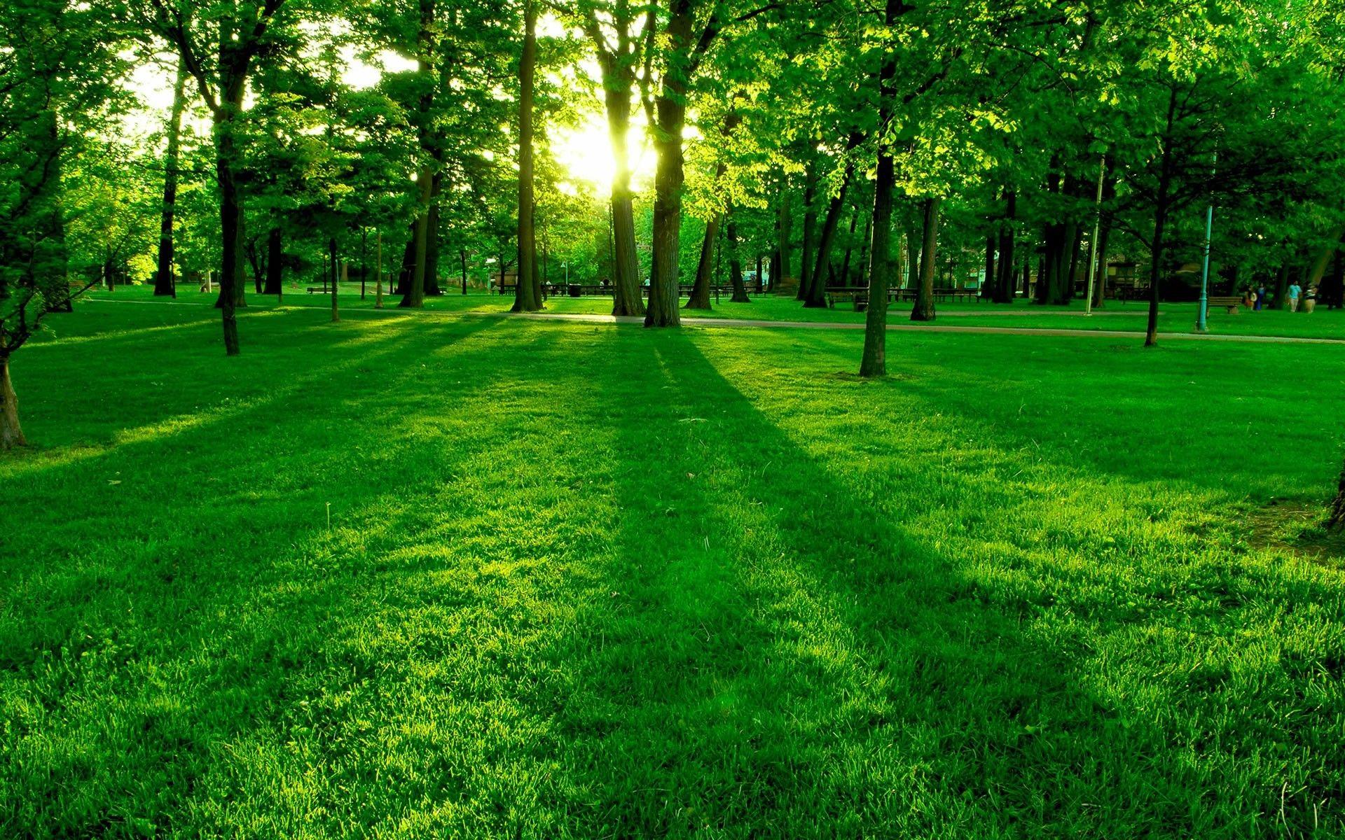 Green Sunrise Wallpapers Top Free Green Sunrise Backgrounds
