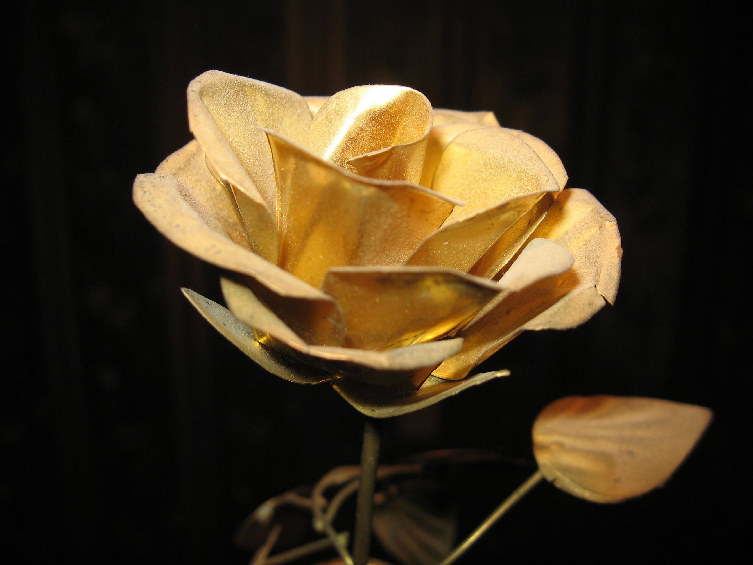 Golden Rose Wallpapers Top Free Golden Rose Backgrounds WallpaperAccess