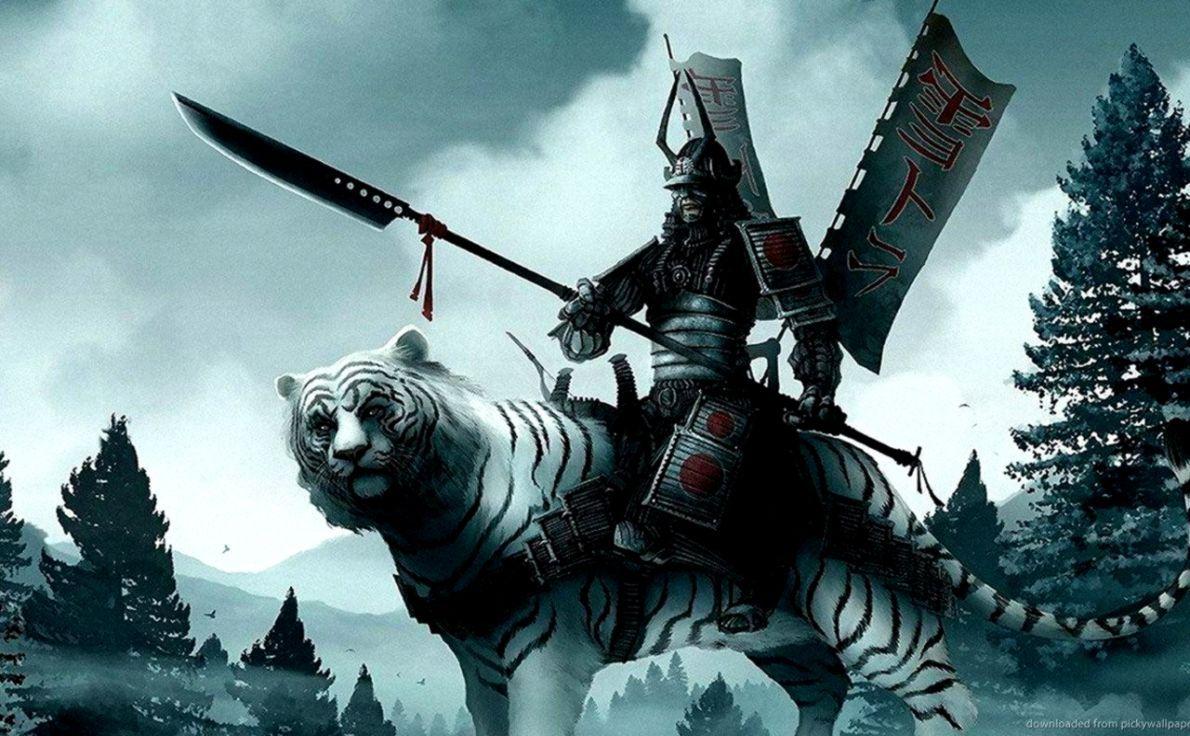 White Samurai Wallpapers Top Free White Samurai Backgrounds