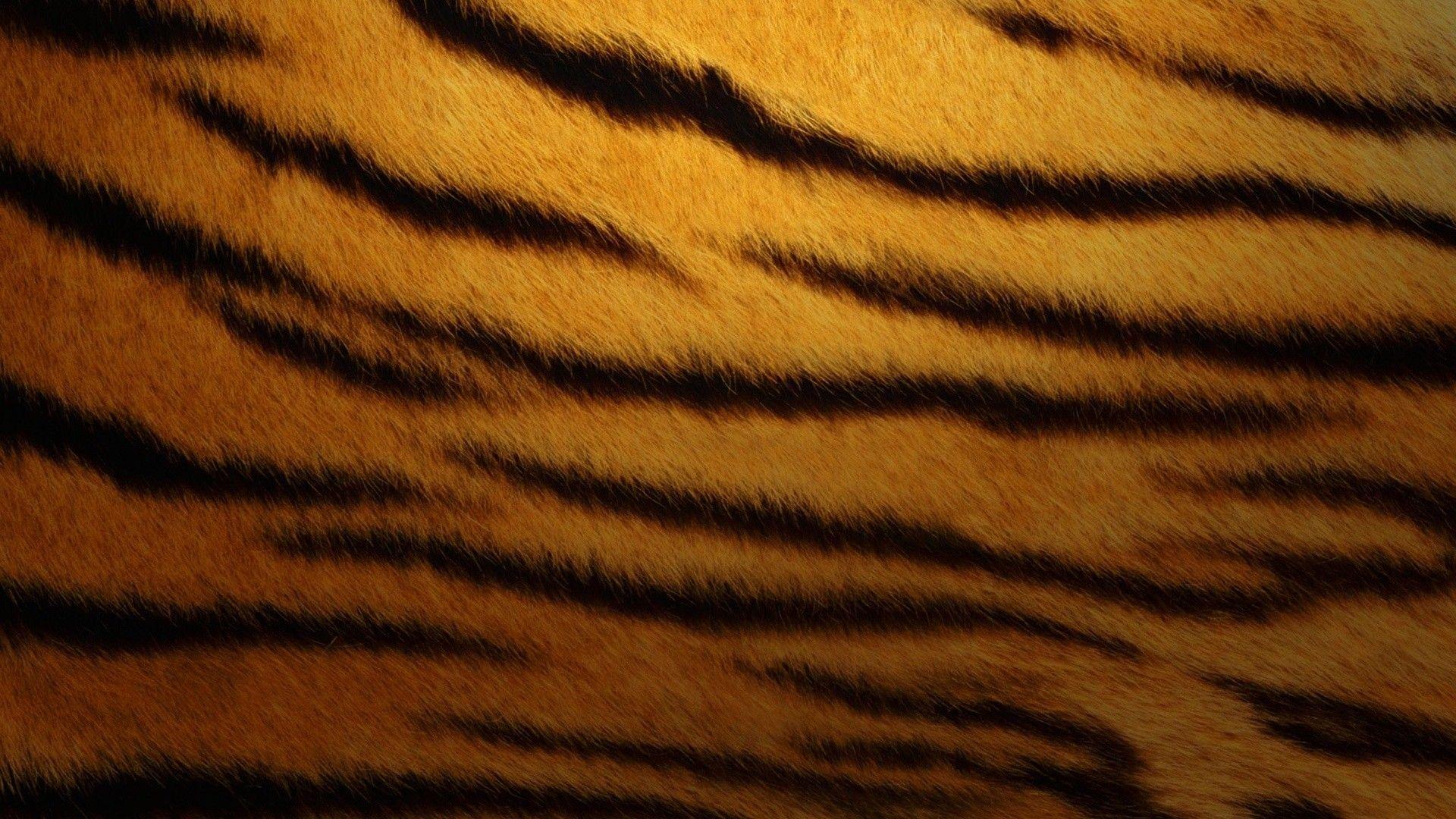 Tiger Print Wallpapers Top Free Tiger Print Backgrounds WallpaperAccess