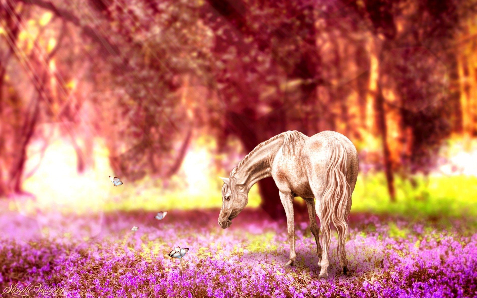 Spring Horse Wallpapers Top Free Spring Horse Backgrounds