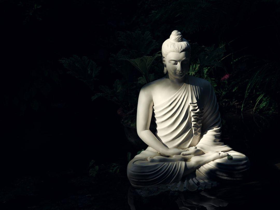 Siddhartha Gautama Wallpapers Top Free Siddhartha Gautama Backgrounds