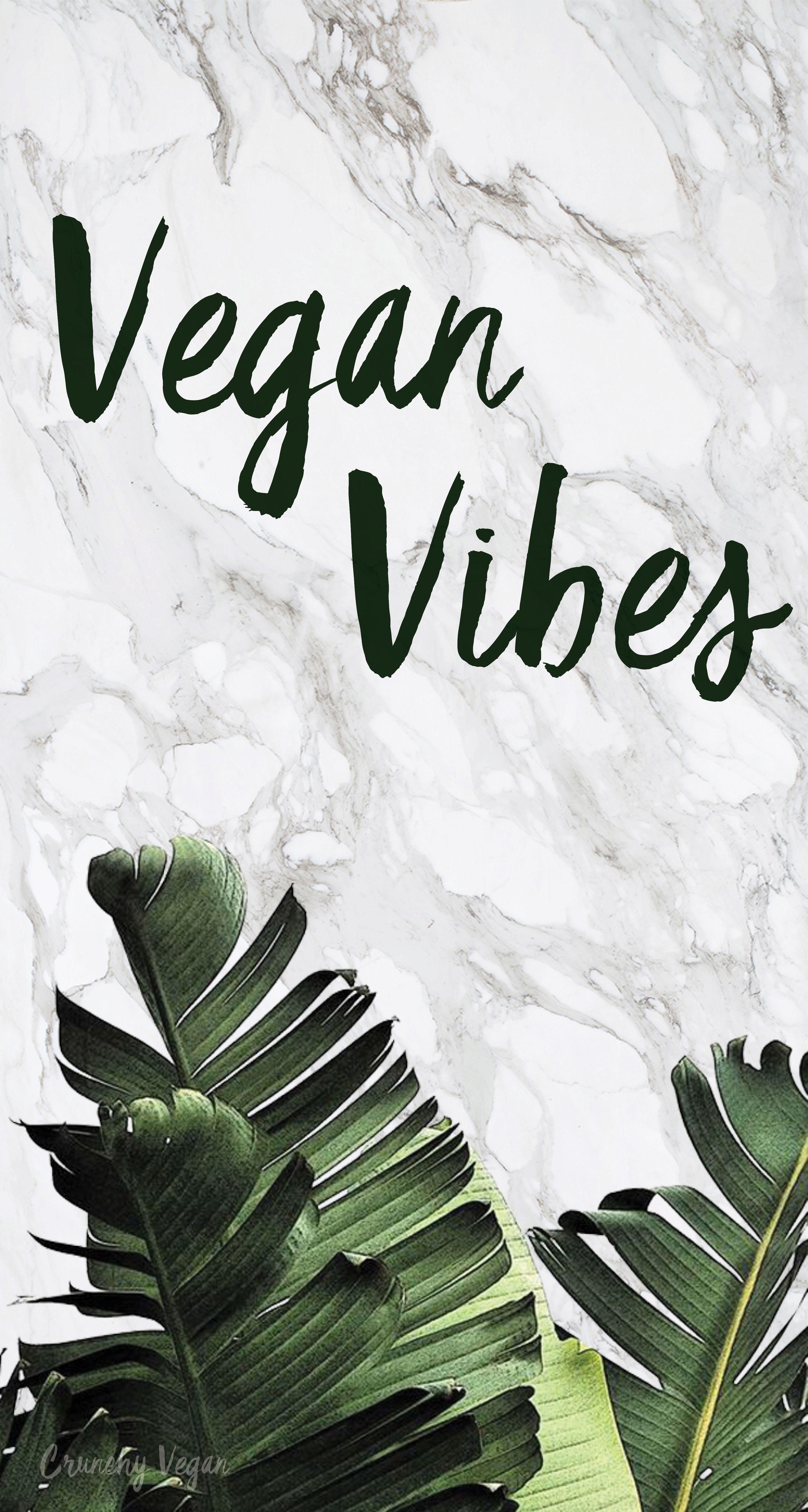 Vegan Wallpapers Top Free Vegan Backgrounds WallpaperAccess