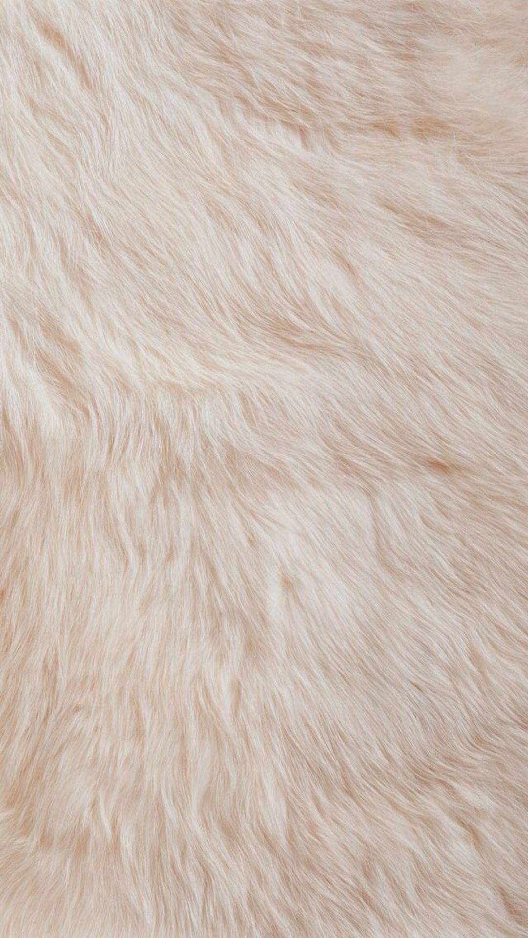 Fur Wallpapers Top Free Fur Backgrounds WallpaperAccess