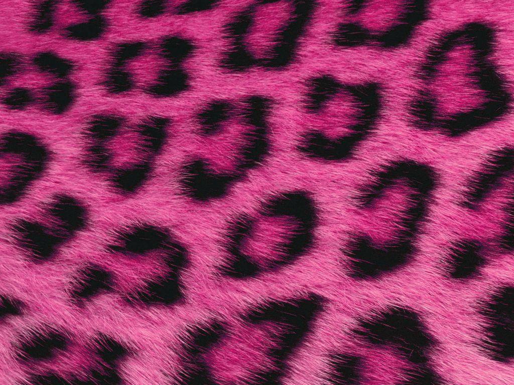 Pink Fur Wallpapers Top Free Pink Fur Backgrounds WallpaperAccess