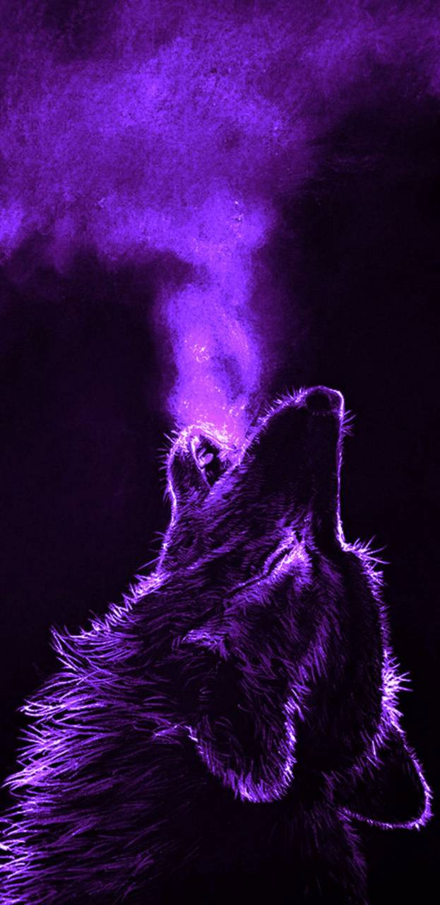 Purple Wolf Wallpapers Top Free Purple Wolf Backgrounds WallpaperAccess