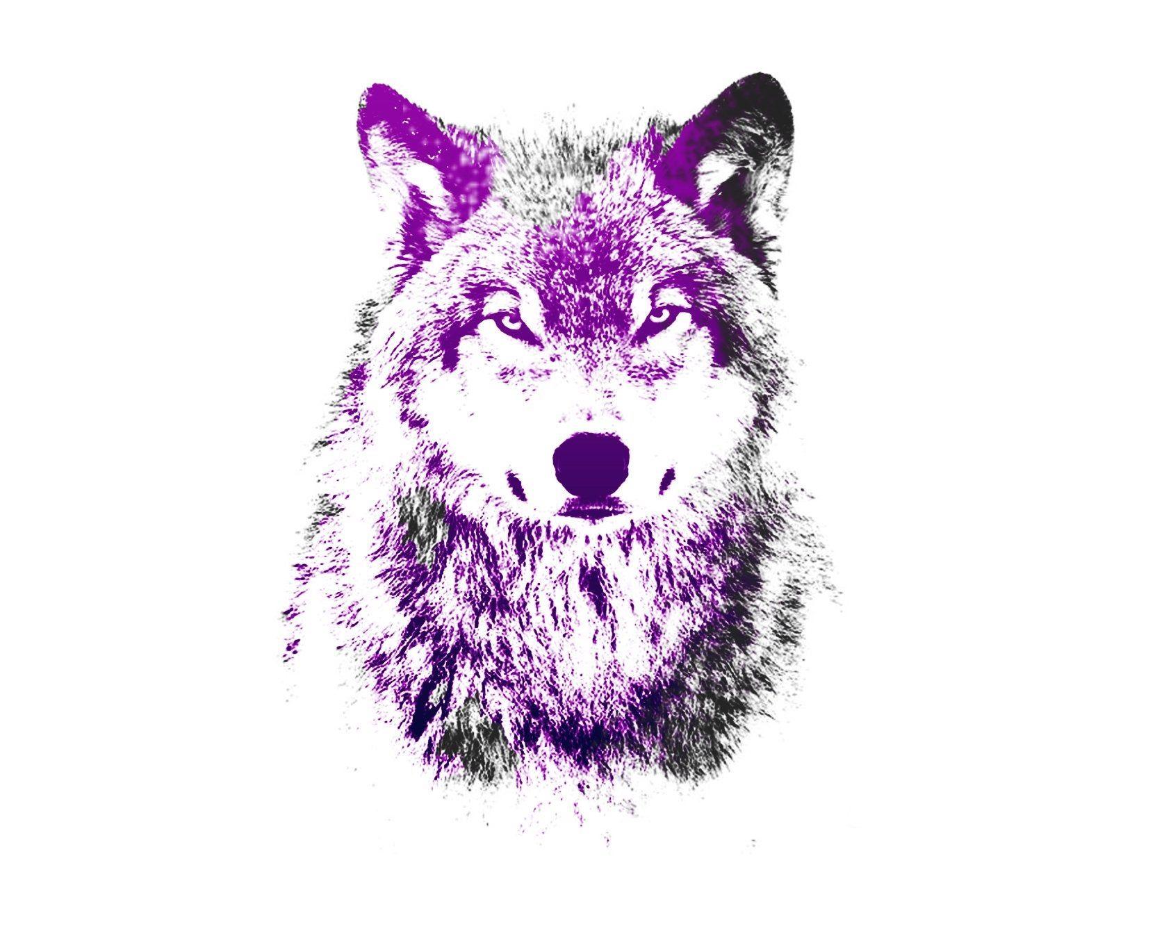 Purple Wolf Wallpapers Top Free Purple Wolf Backgrounds WallpaperAccess