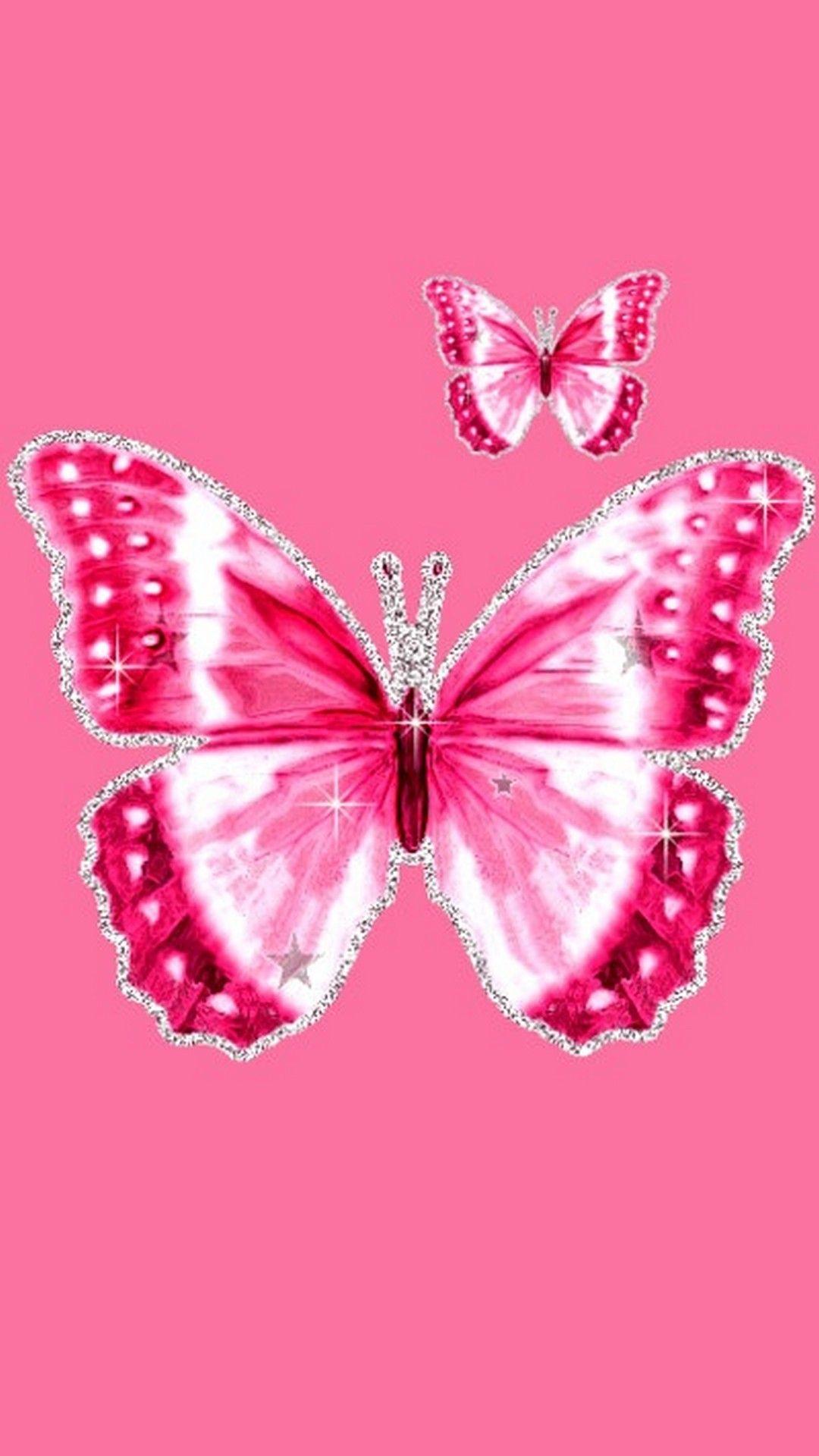Pink Full Hd Beautiful Butterfly Wallpaper bmppark