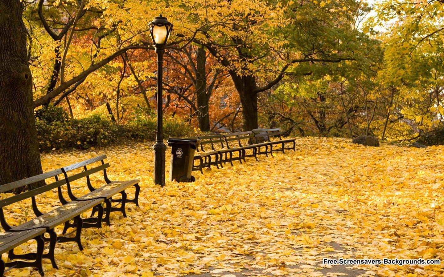 Autumn in New York Wallpapers Top Free Autumn in New York Backgrounds