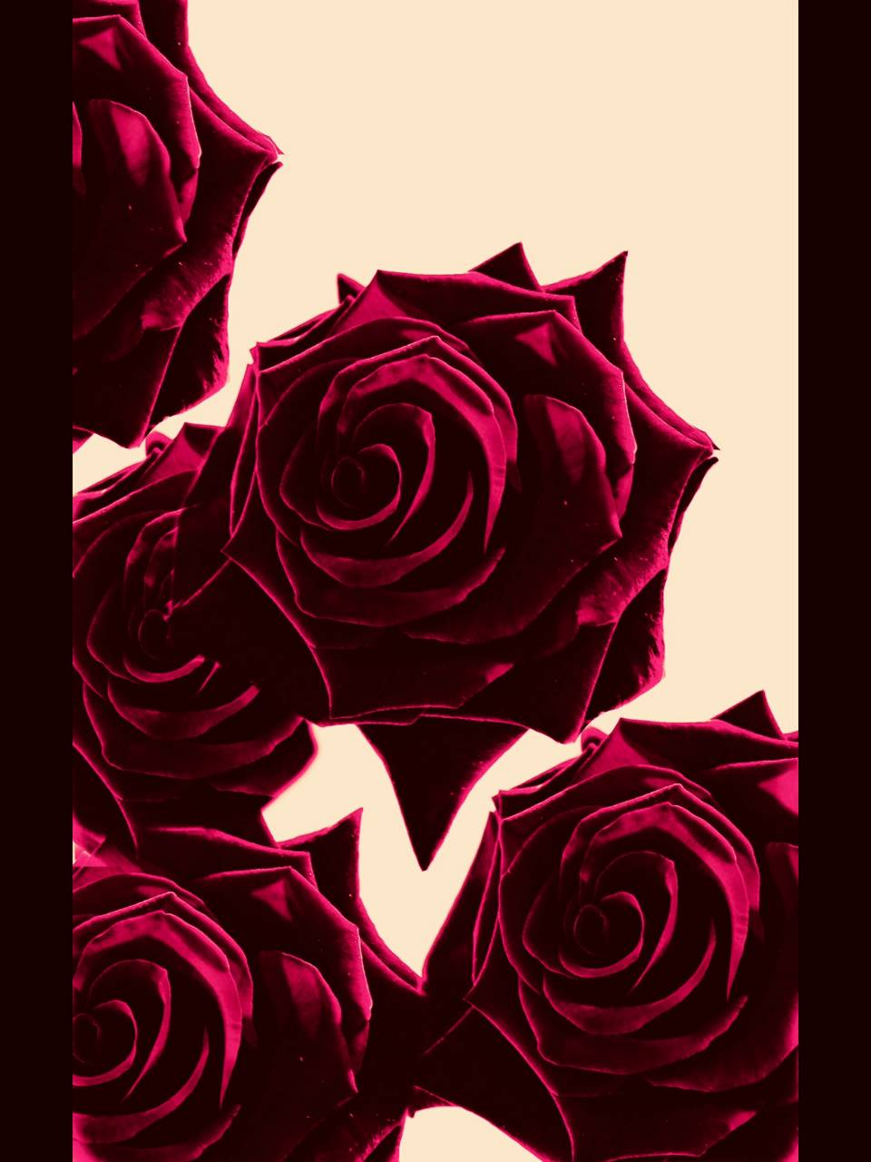 Burgundy Wallpapers Top Free Burgundy Backgrounds WallpaperAccess