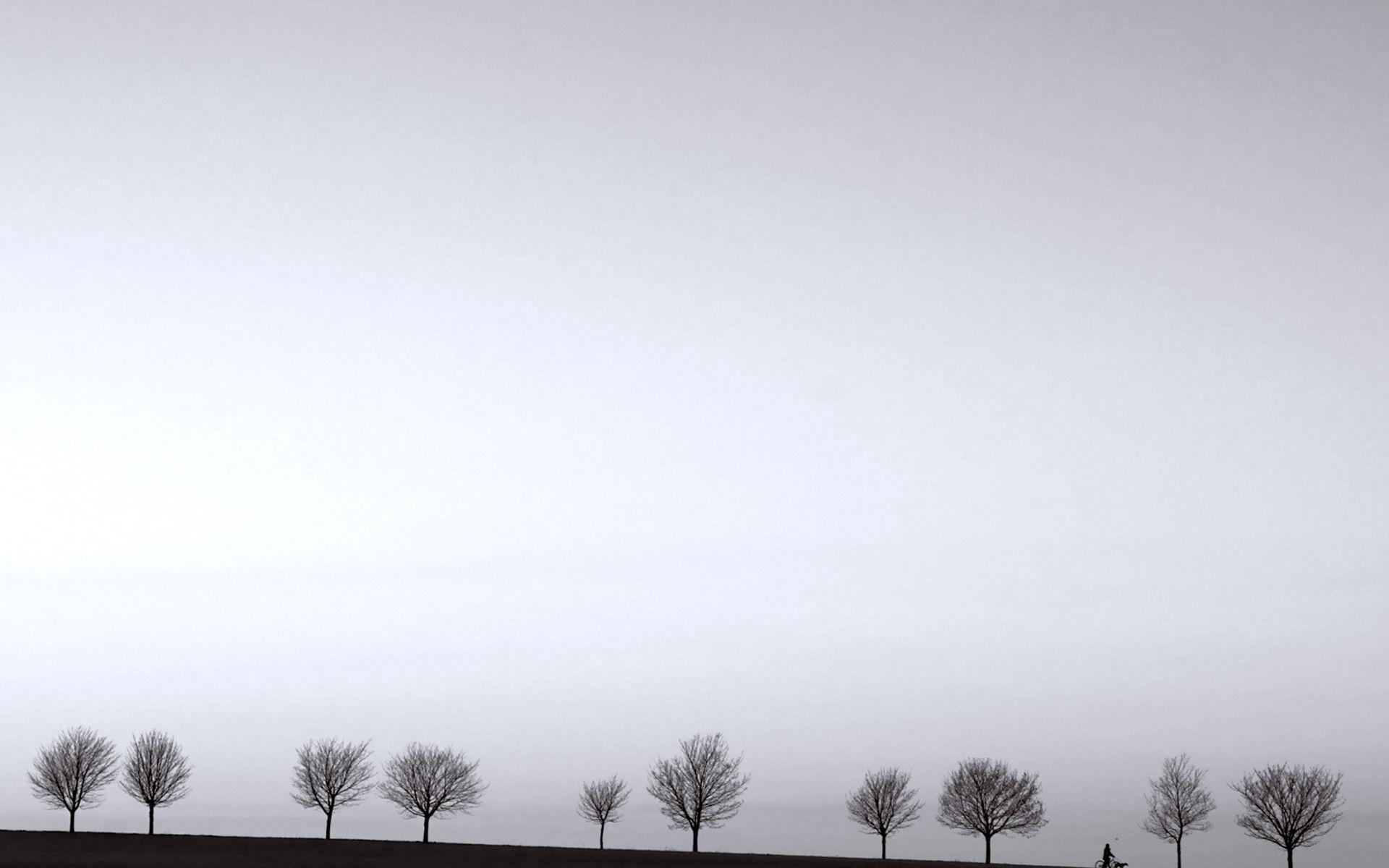 White Nature Wallpapers Top Free White Nature Backgrounds