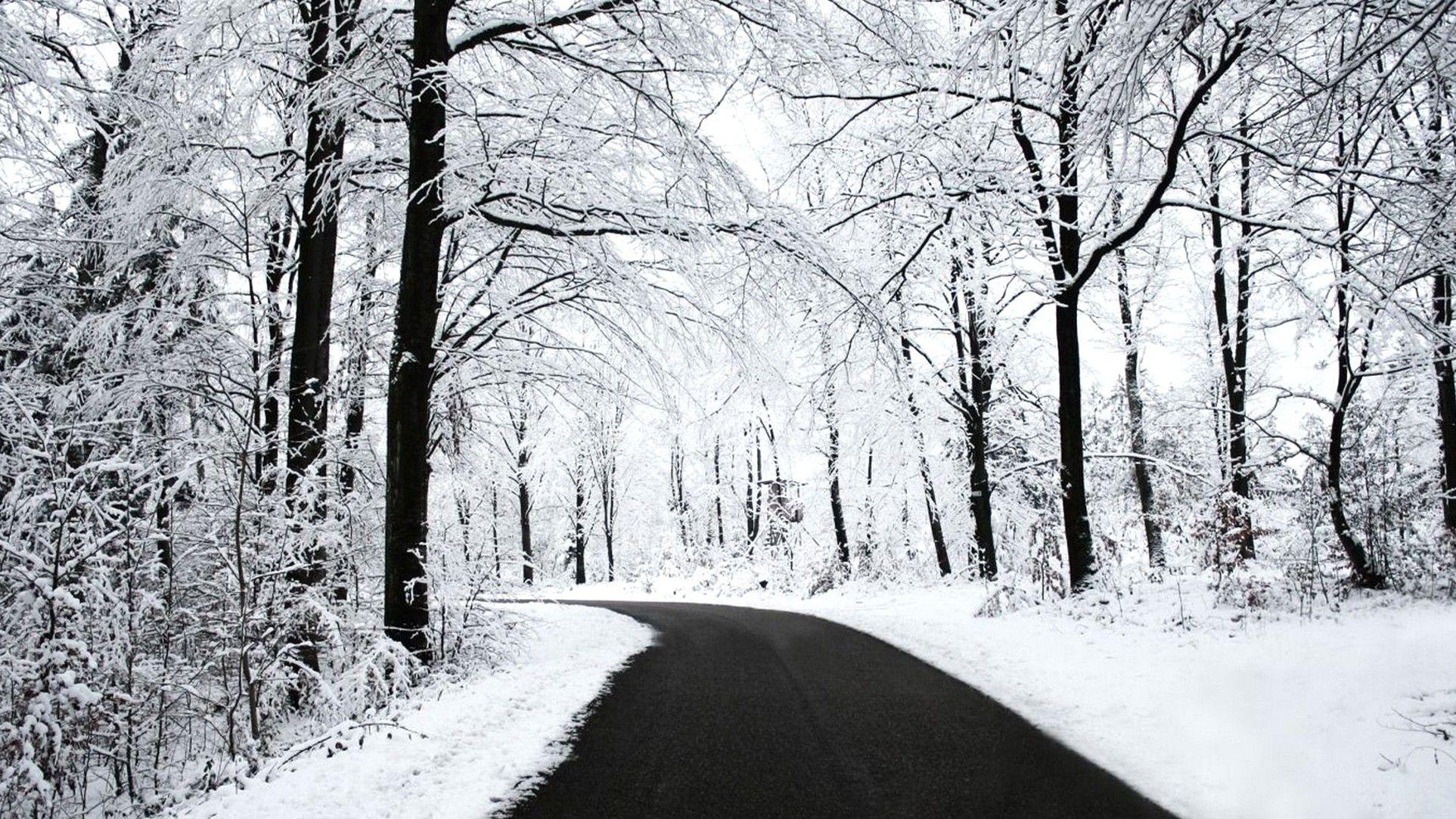 White Nature Wallpapers Top Free White Nature Backgrounds