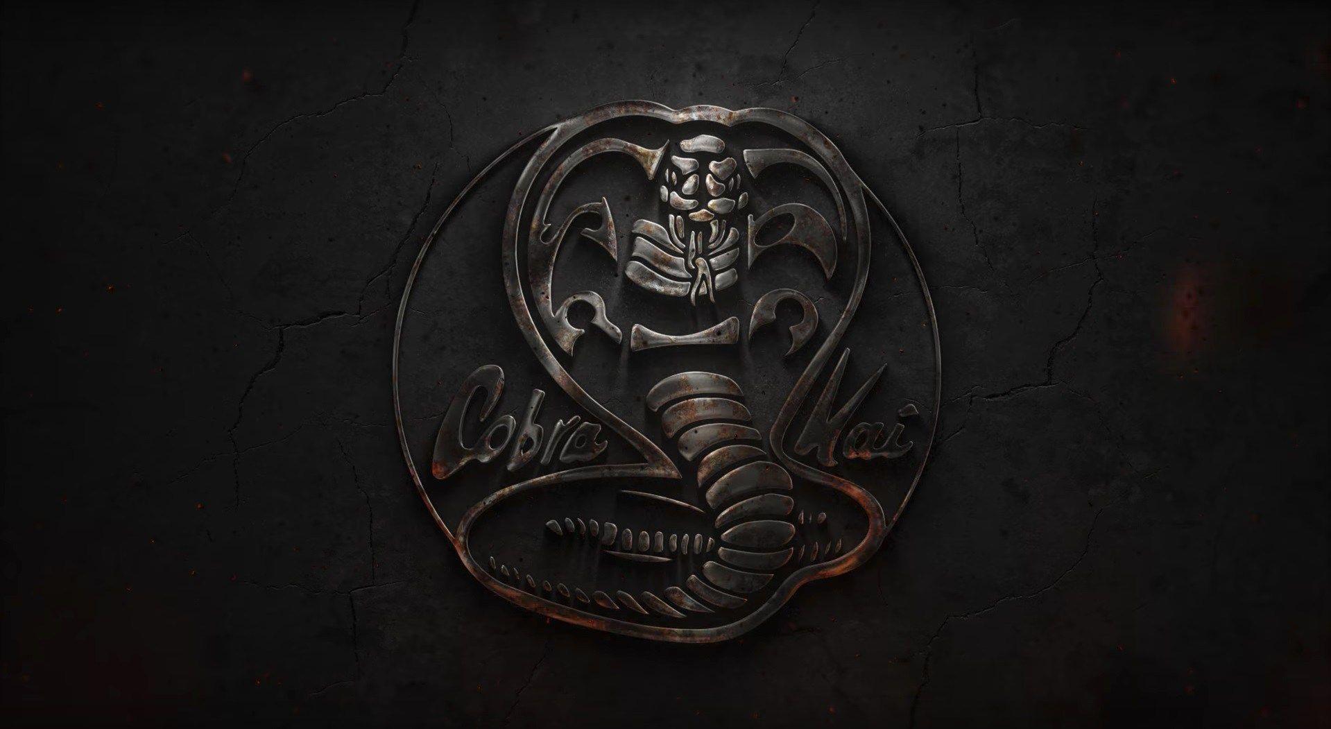 Cobra Kai Wallpapers Top Free Cobra Kai Backgrounds WallpaperAccess