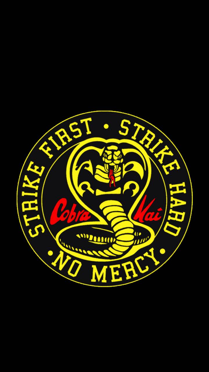 Cobra Kai Wallpapers Top Free Cobra Kai Backgrounds WallpaperAccess