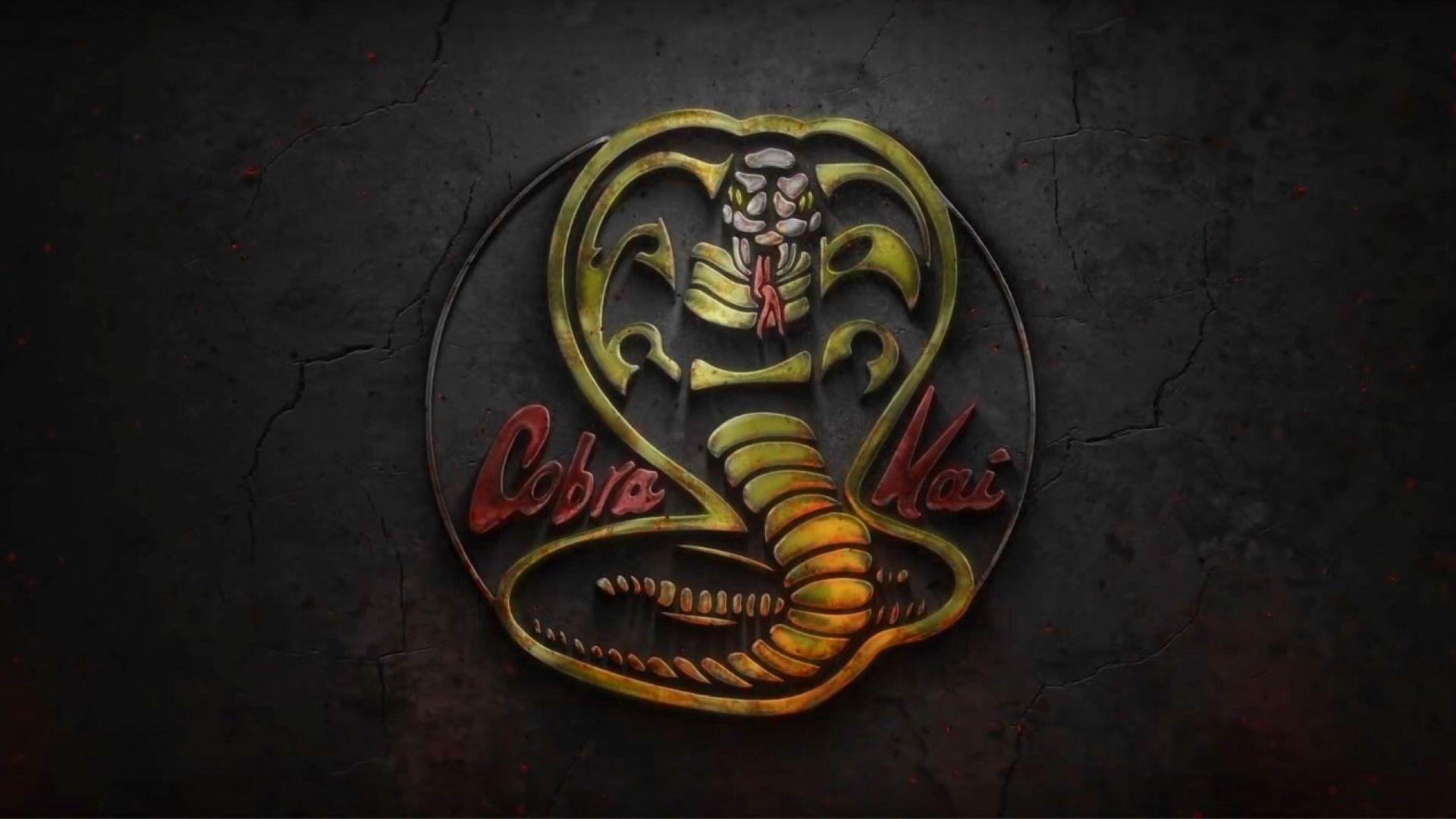 Cobra Kai Wallpapers Top Free Cobra Kai Backgrounds WallpaperAccess