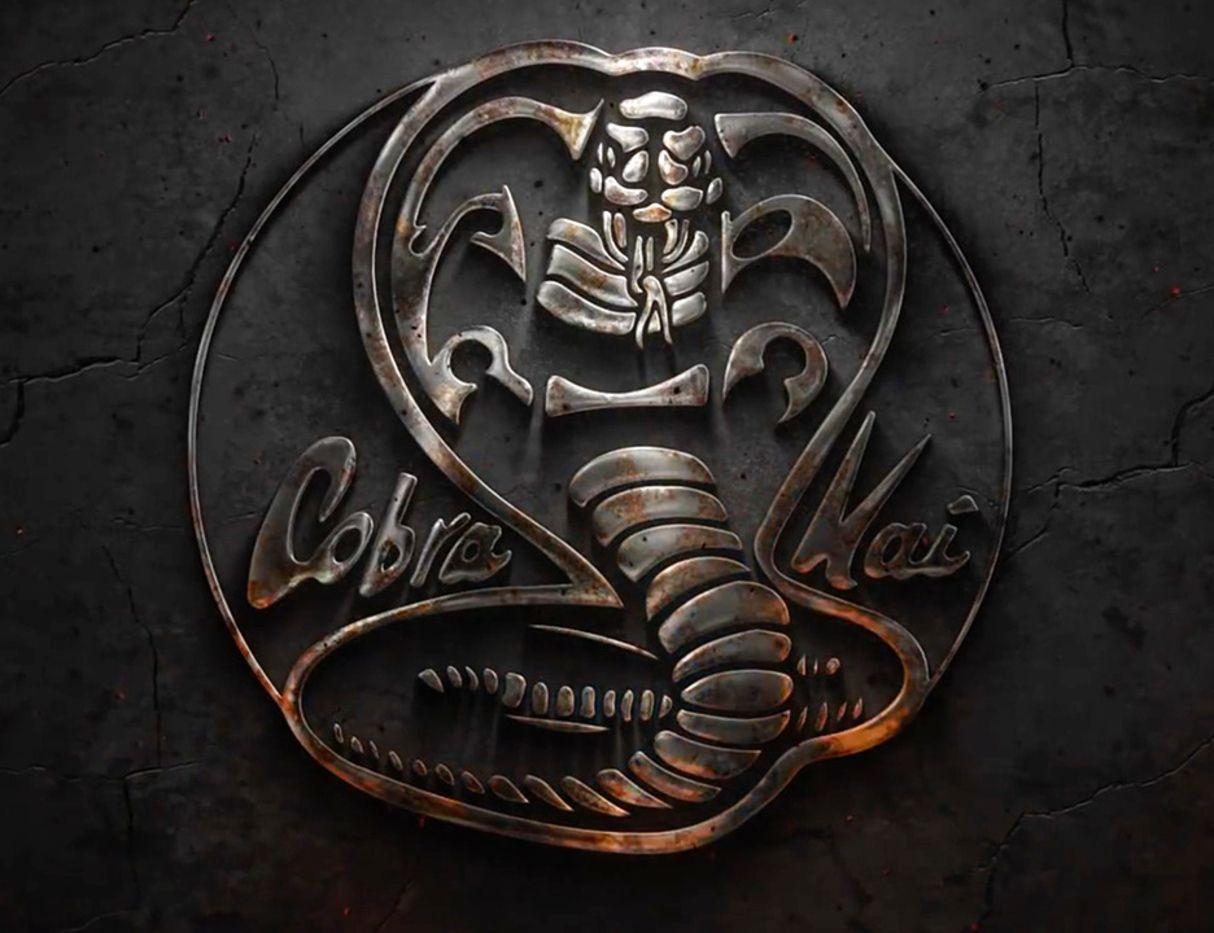 Cobra Kai Wallpapers Top Free Cobra Kai Backgrounds WallpaperAccess