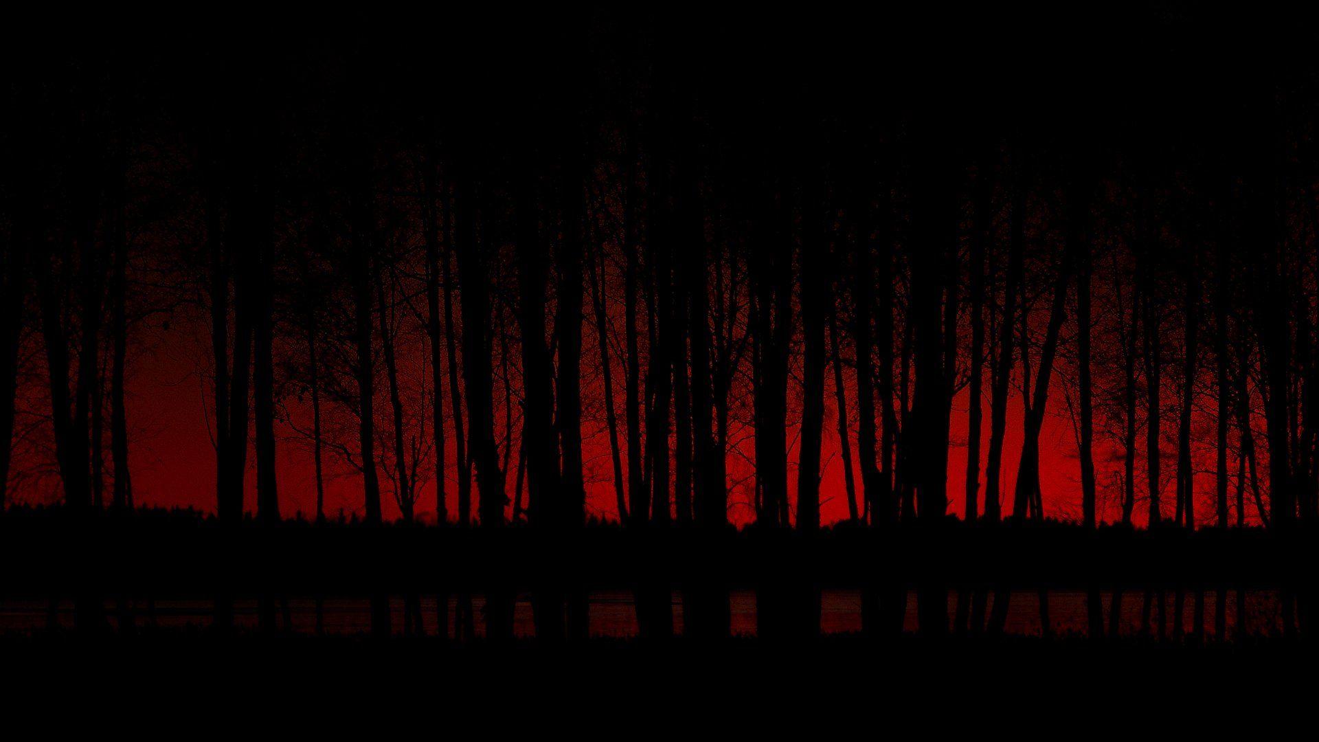 Red Forest Wallpapers Top Free Red Forest Backgrounds WallpaperAccess