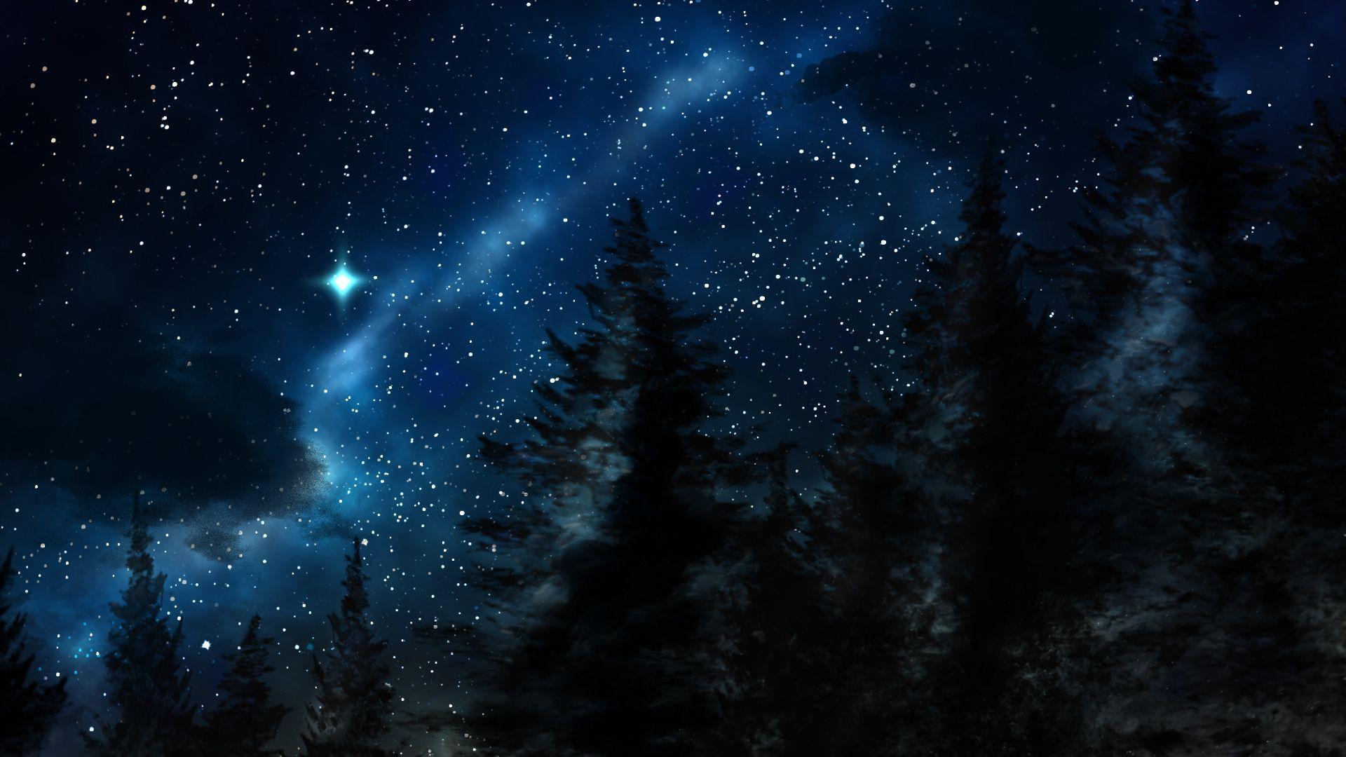 Forest Night Sky Wallpapers Top Free Forest Night Sky Backgrounds
