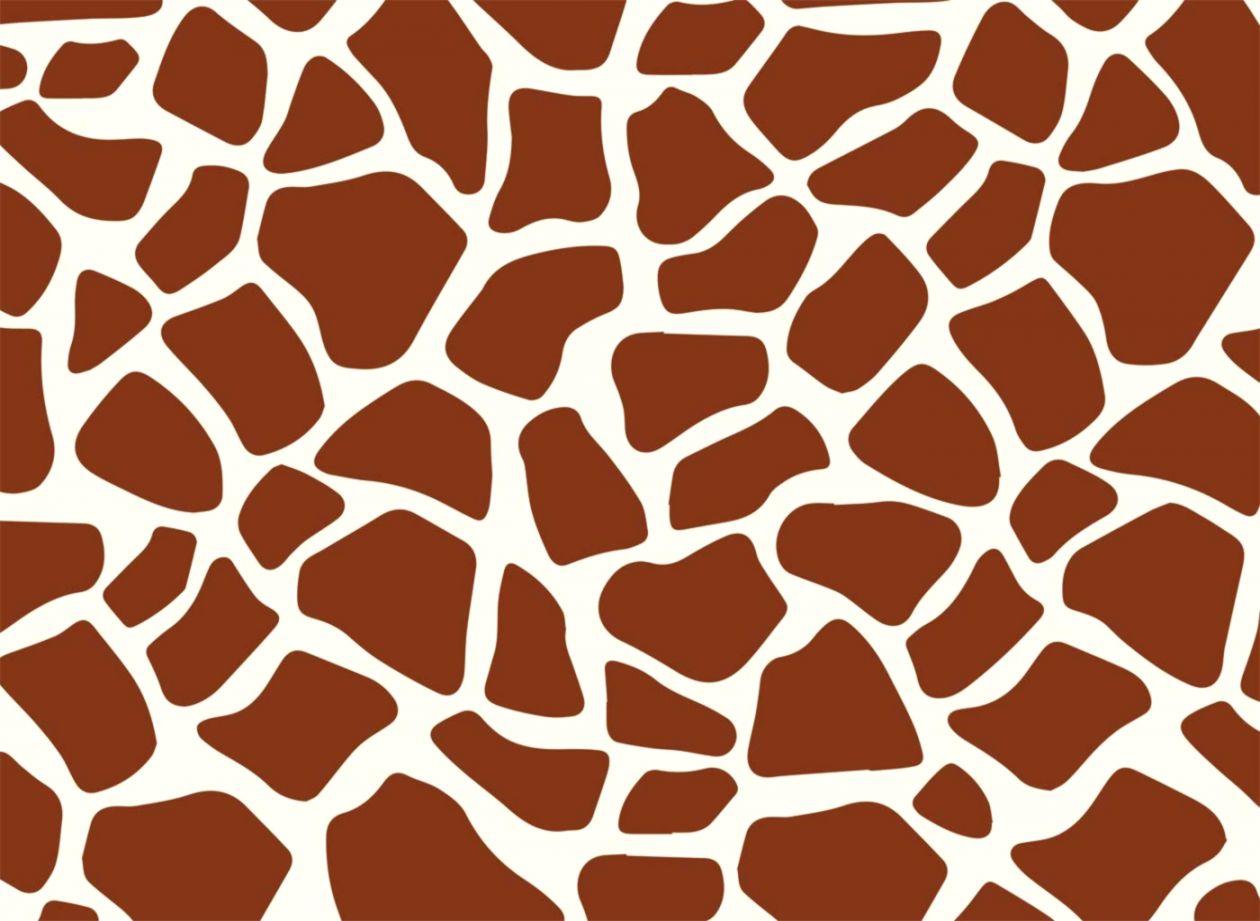 Giraffe Print Wallpapers Top Free Giraffe Print Backgrounds WallpaperAccess