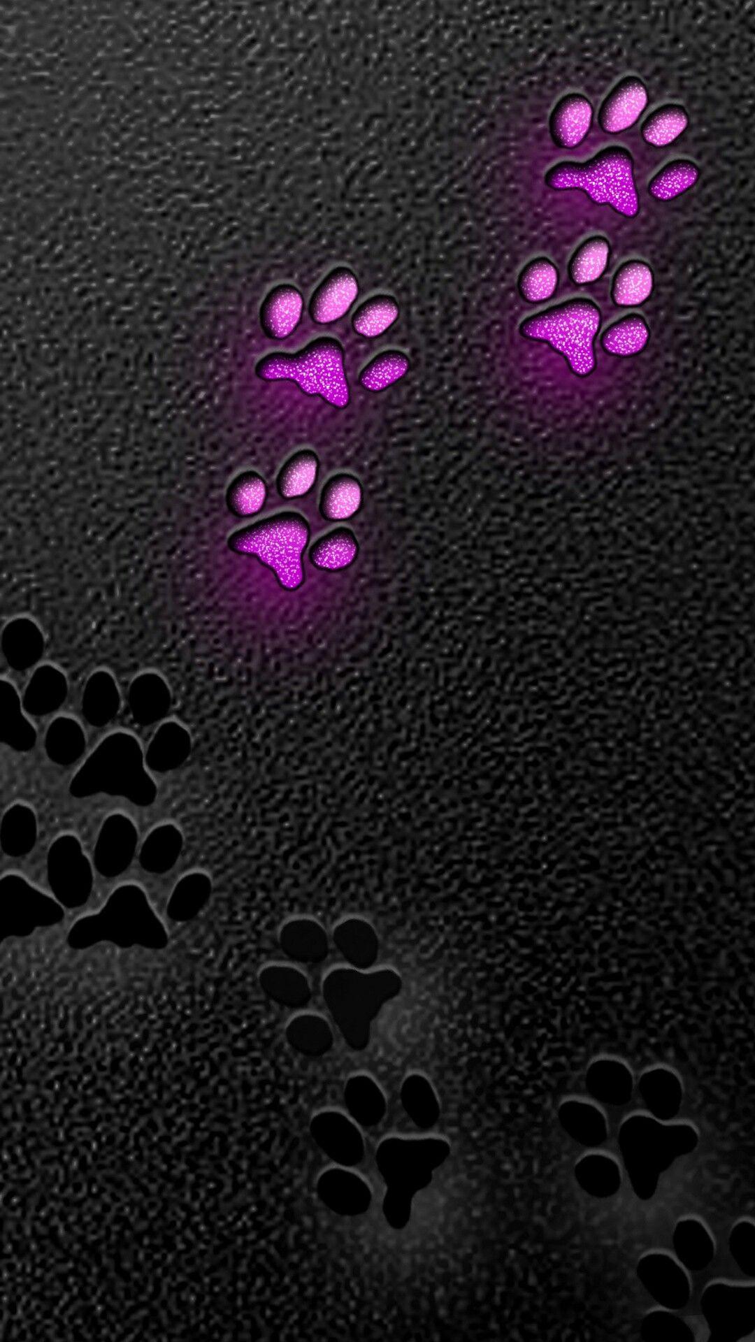 Dog Paw Wallpapers Top Free Dog Paw Backgrounds WallpaperAccess