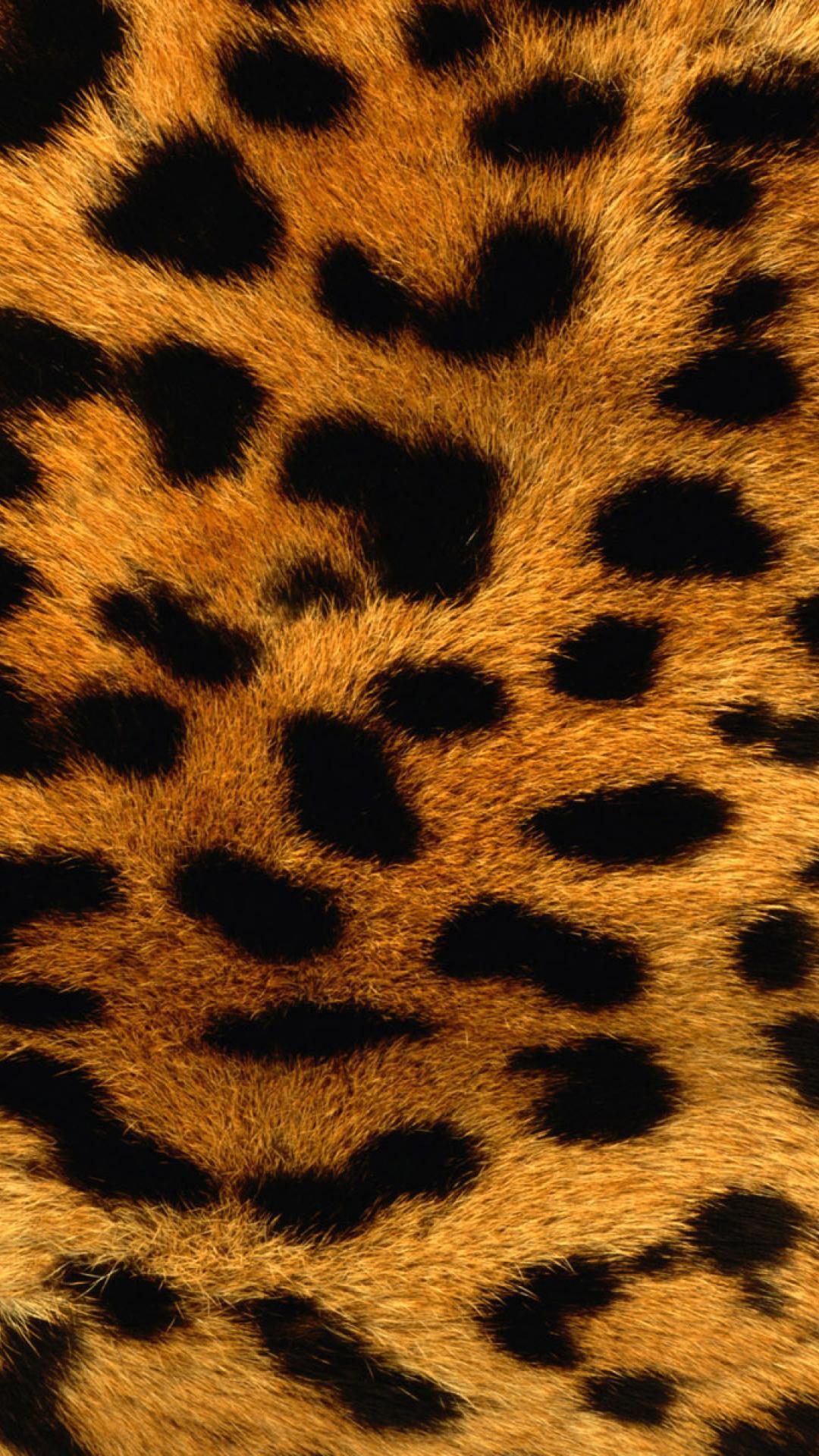 Animal Print iPhone Wallpapers Top Free Animal Print iPhone
