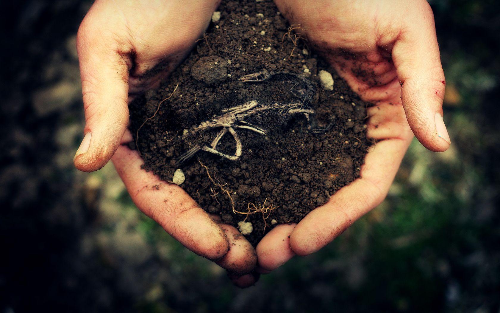 Soil Wallpapers Top Free Soil Backgrounds WallpaperAccess