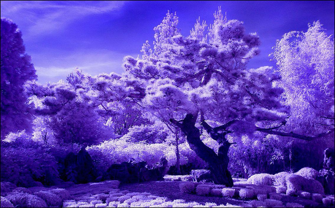 Old Japanese Wallpapers Top Free Old Japanese Backgrounds