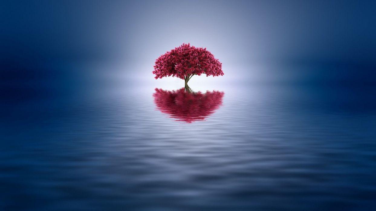 Tree Water Wallpapers Top Free Tree Water Backgrounds WallpaperAccess