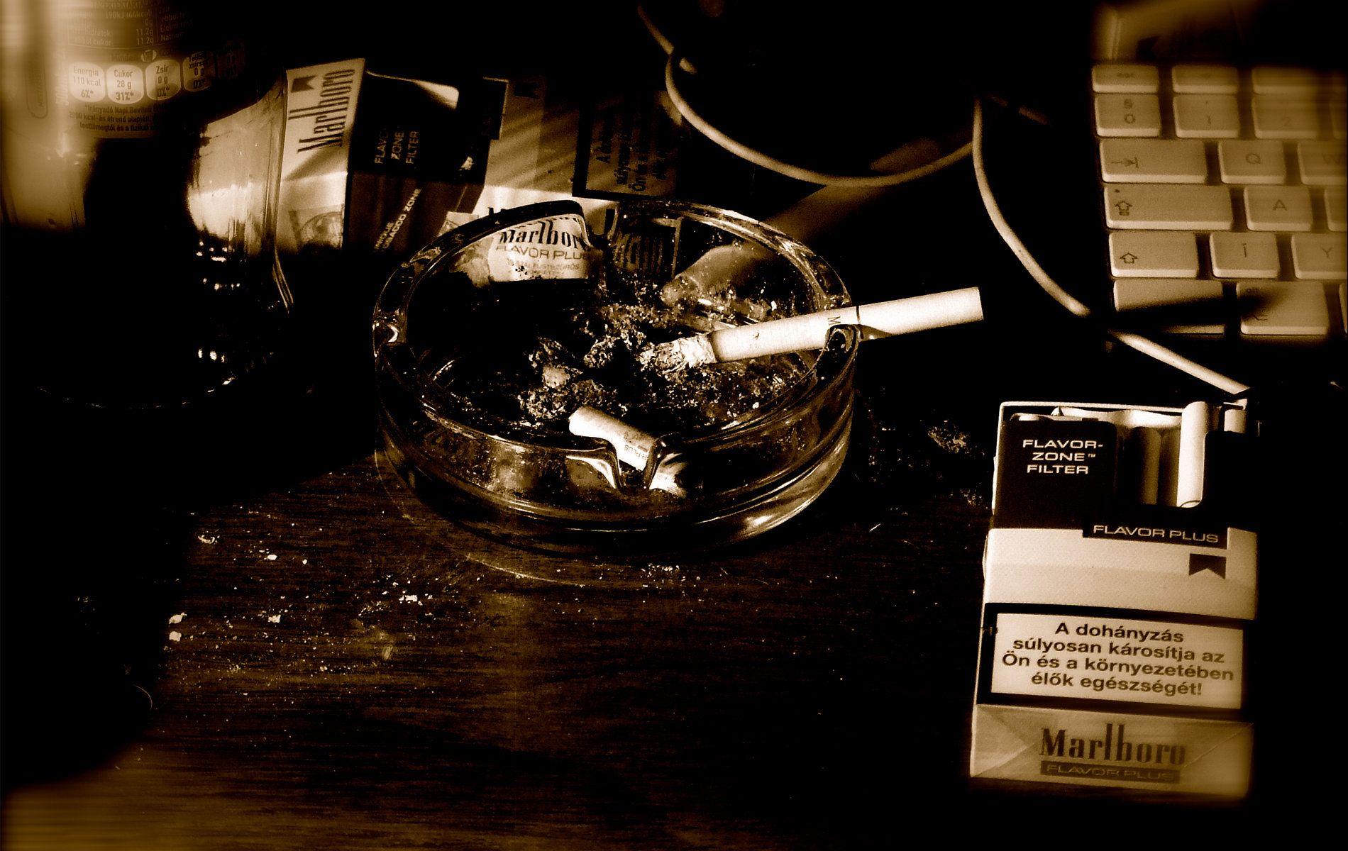 Cigarette Wallpapers Top Free Cigarette Backgrounds WallpaperAccess