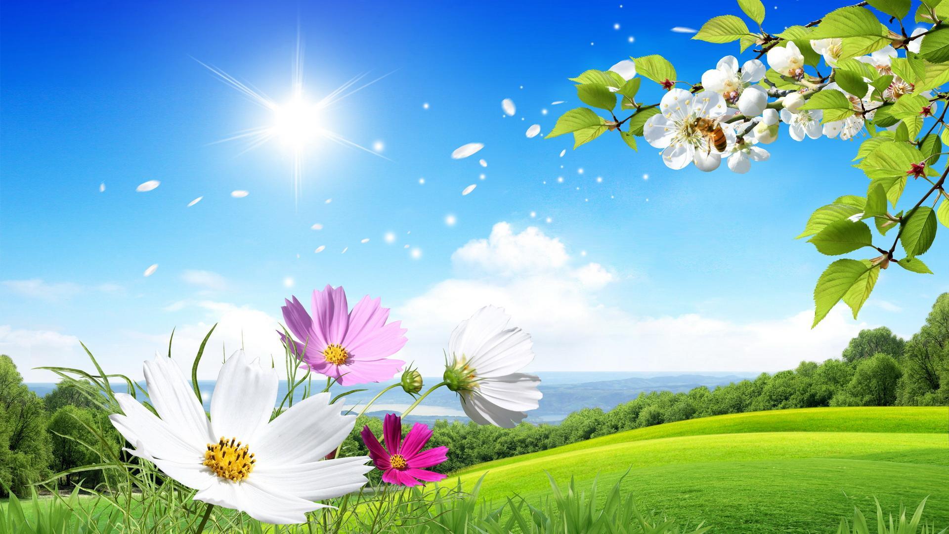 Flower Scenery Wallpapers Top Free Flower Scenery Backgrounds
