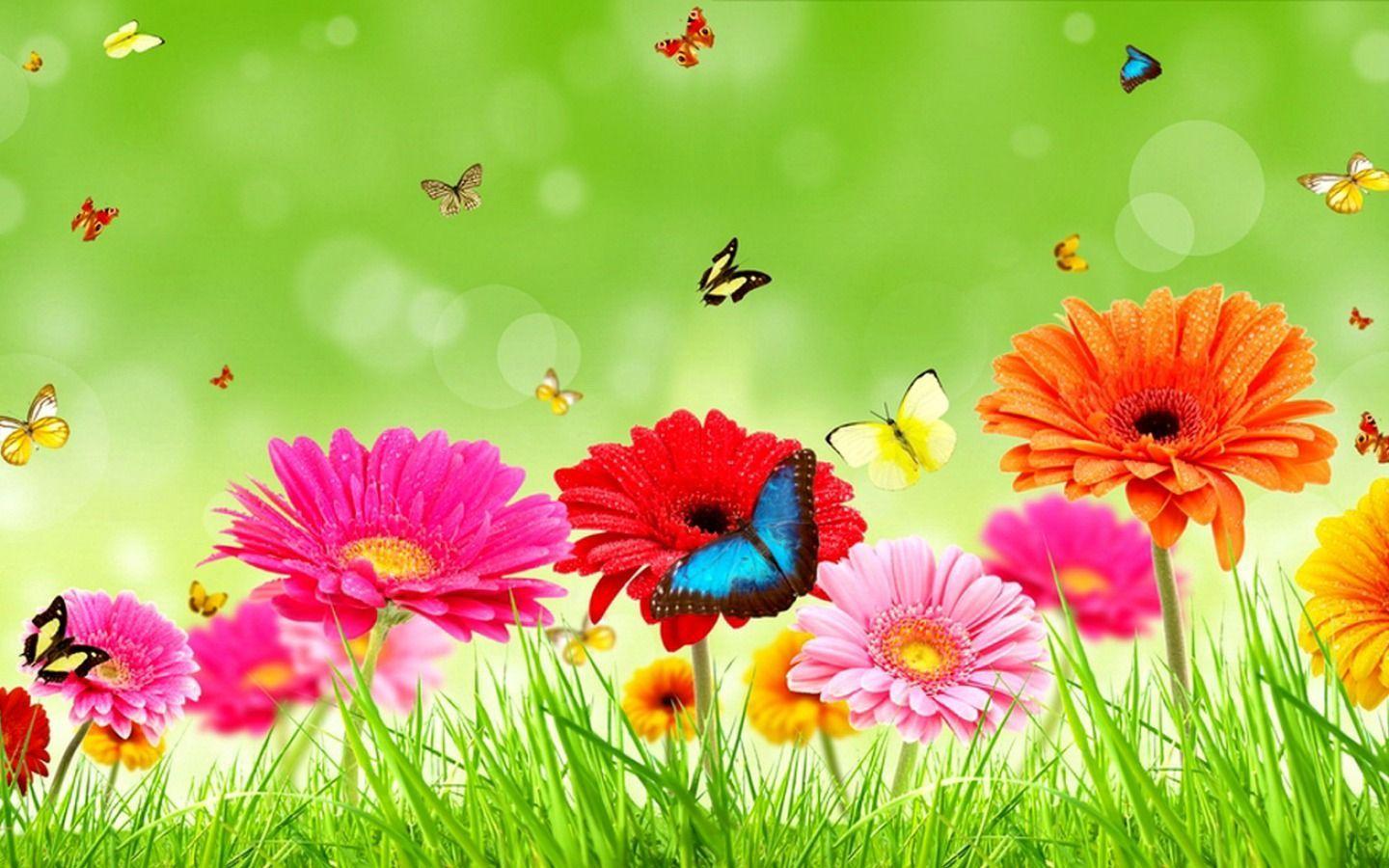 Flower Scenery Wallpapers Top Free Flower Scenery Backgrounds WallpaperAccess