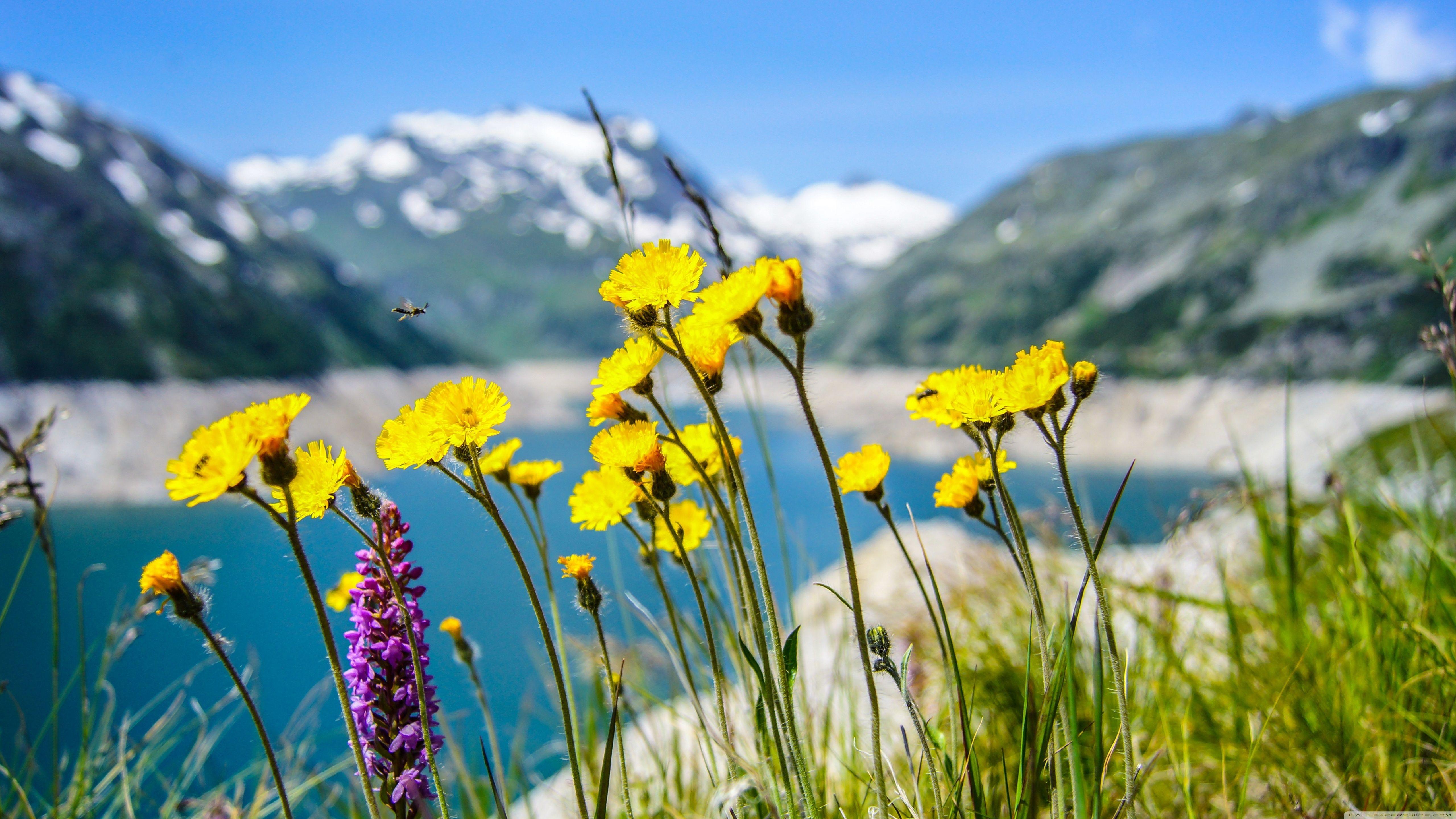 Fresh Wallpapers Top Free Fresh Backgrounds WallpaperAccess