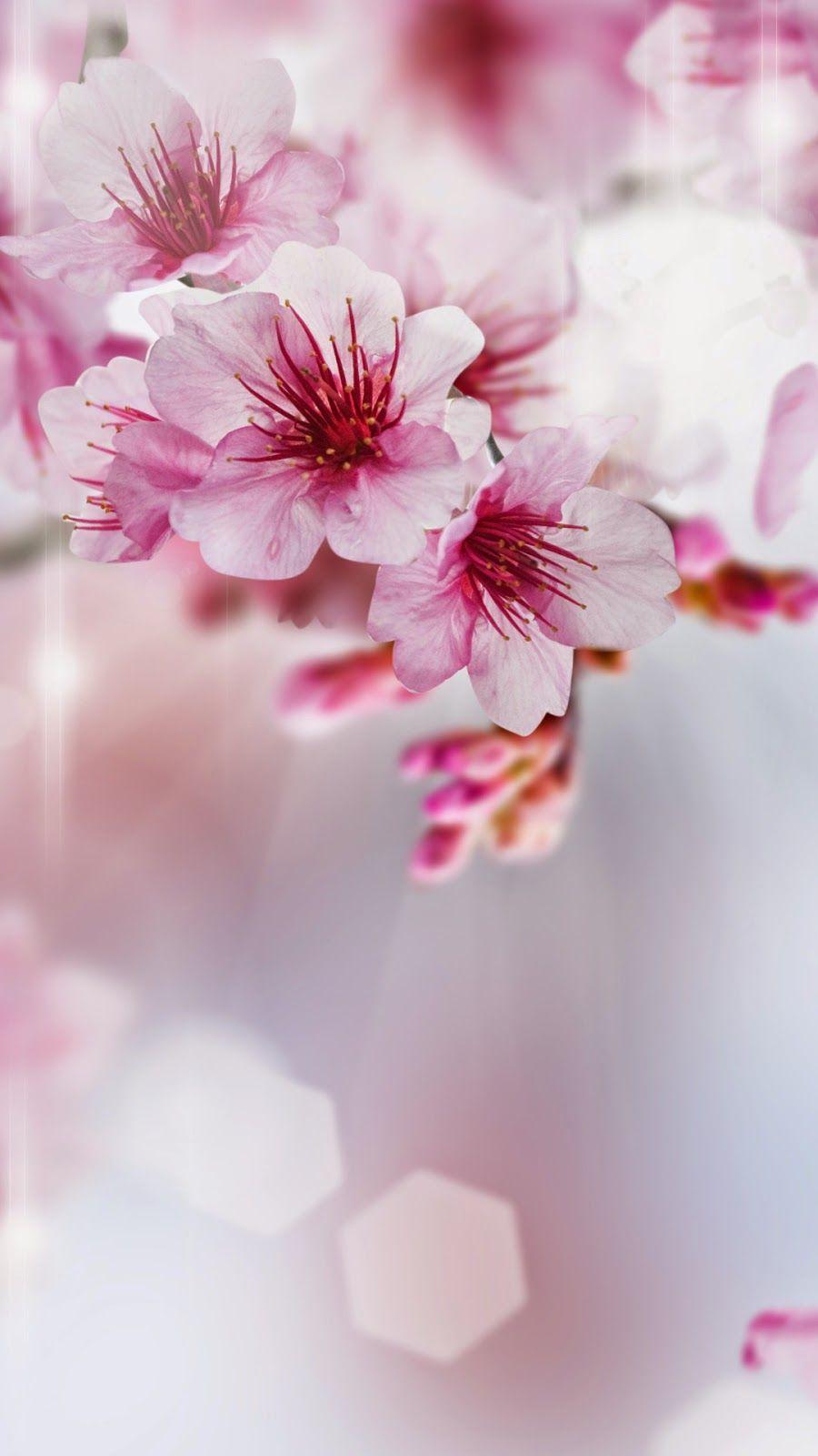 Pink Floral iPhone Wallpapers Top Free Pink Floral iPhone Backgrounds