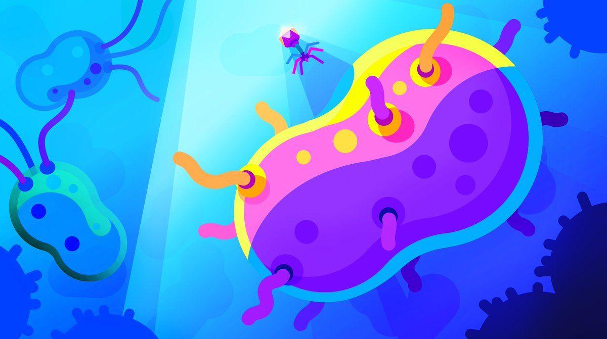 Kurzgesagt Wallpaper The Egg