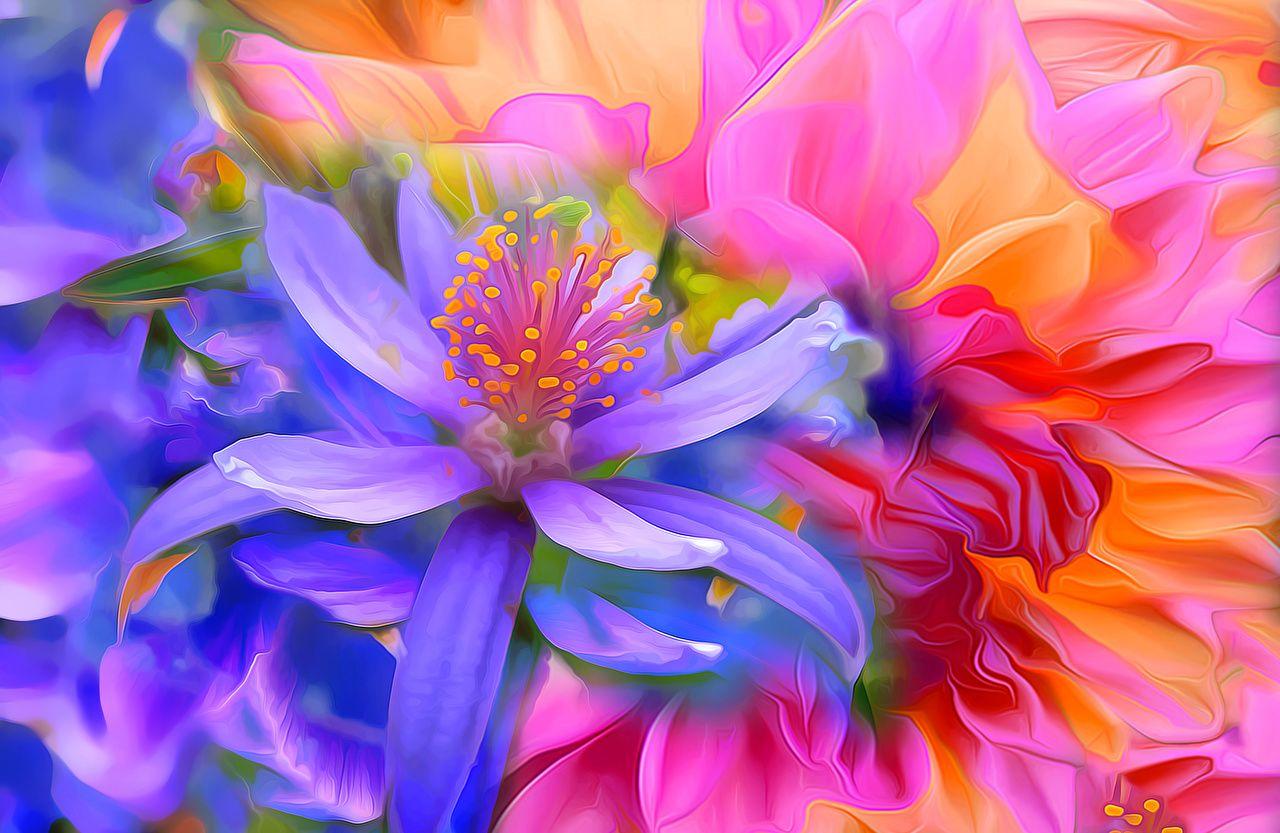 Flower Painting Wallpapers Top Free Flower Painting Backgrounds