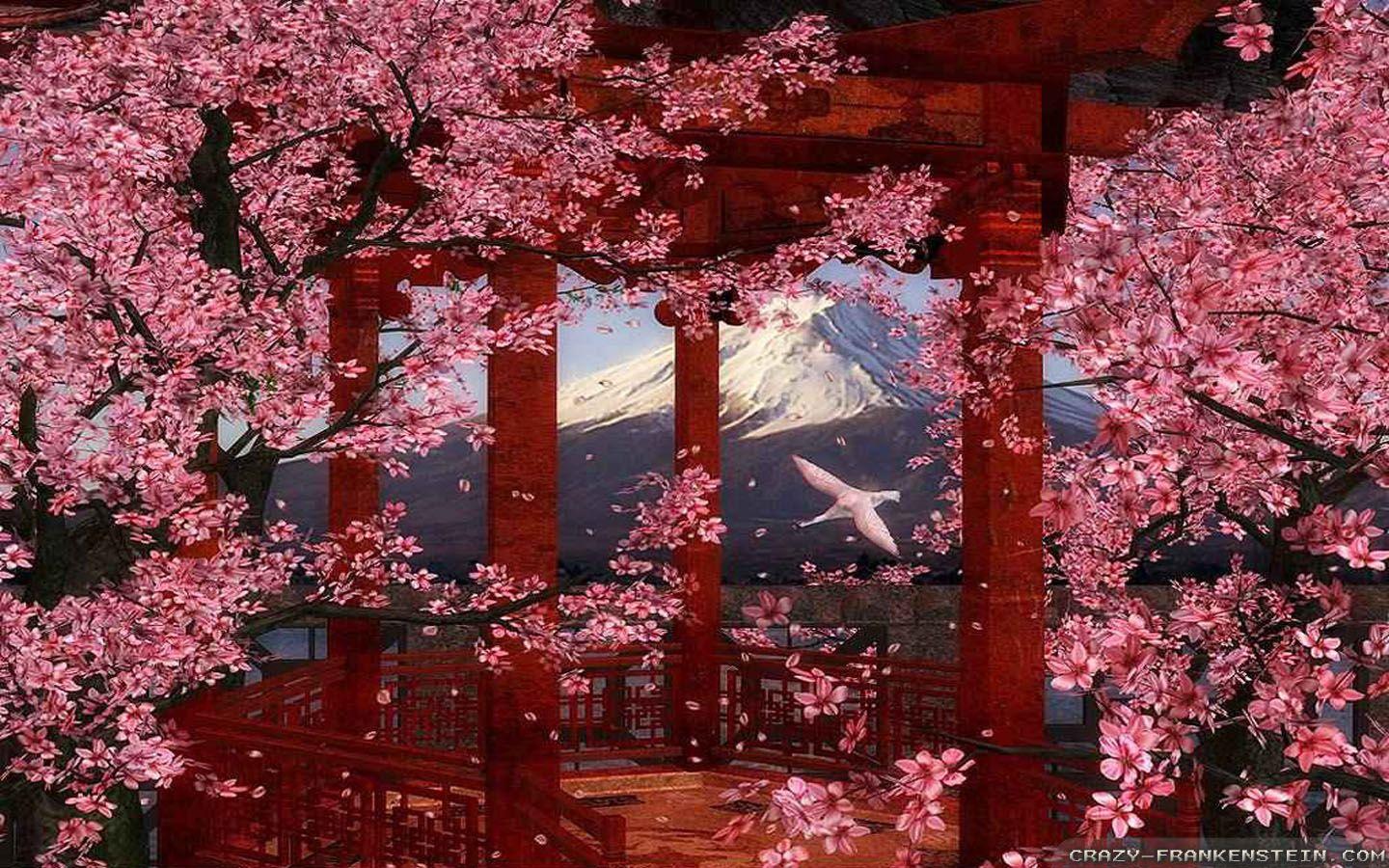Japan Tree Wallpapers Top Free Japan Tree Backgrounds WallpaperAccess