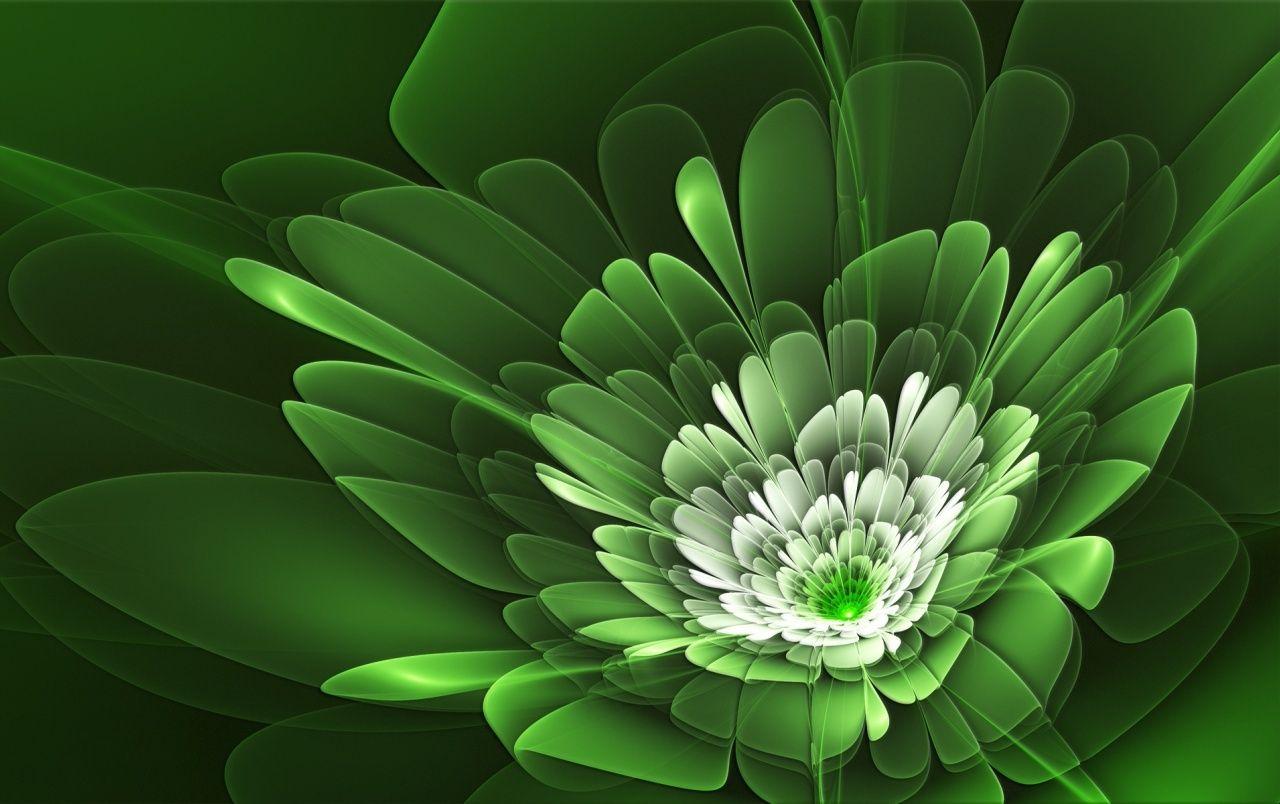 Lime Green Flower Wallpapers