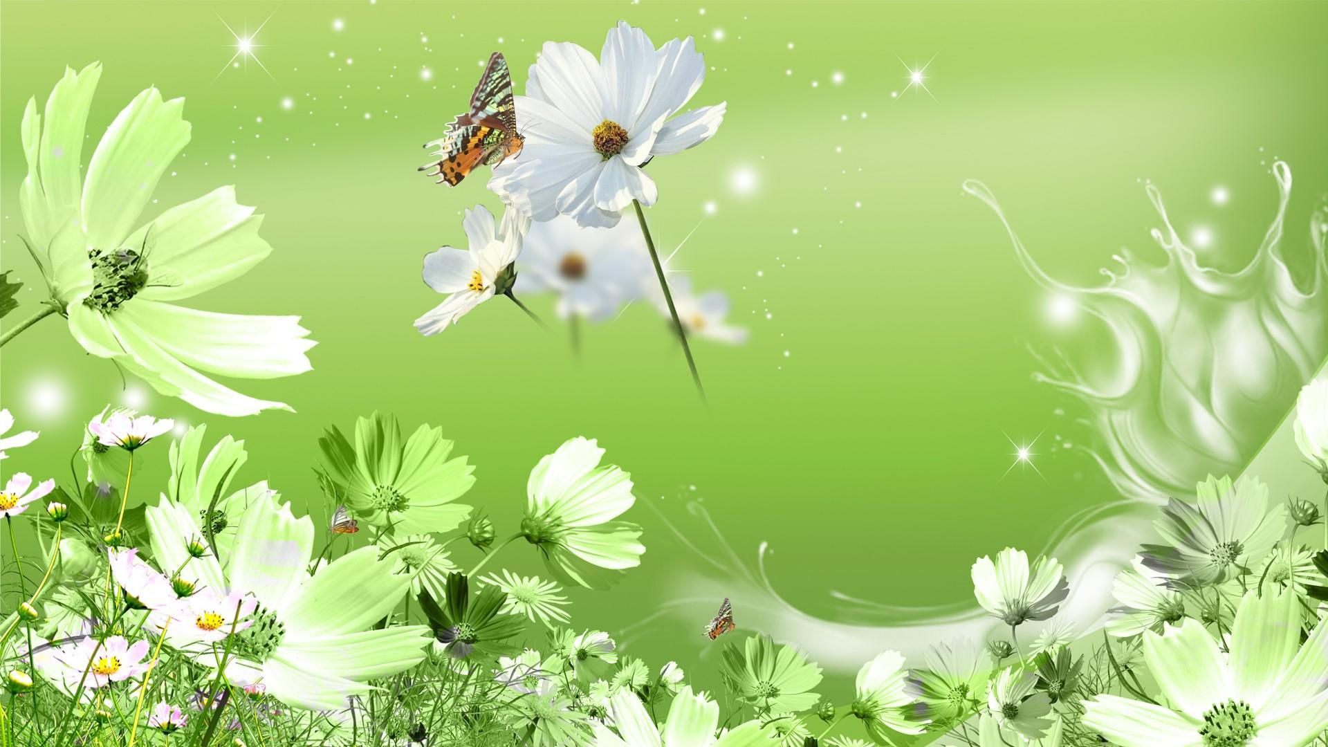 Green Flower Wallpapers Top Free Green Flower Backgrounds