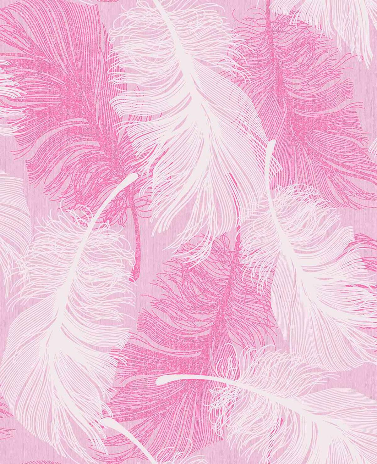 Feather Wallpapers Top Free Feather Backgrounds WallpaperAccess