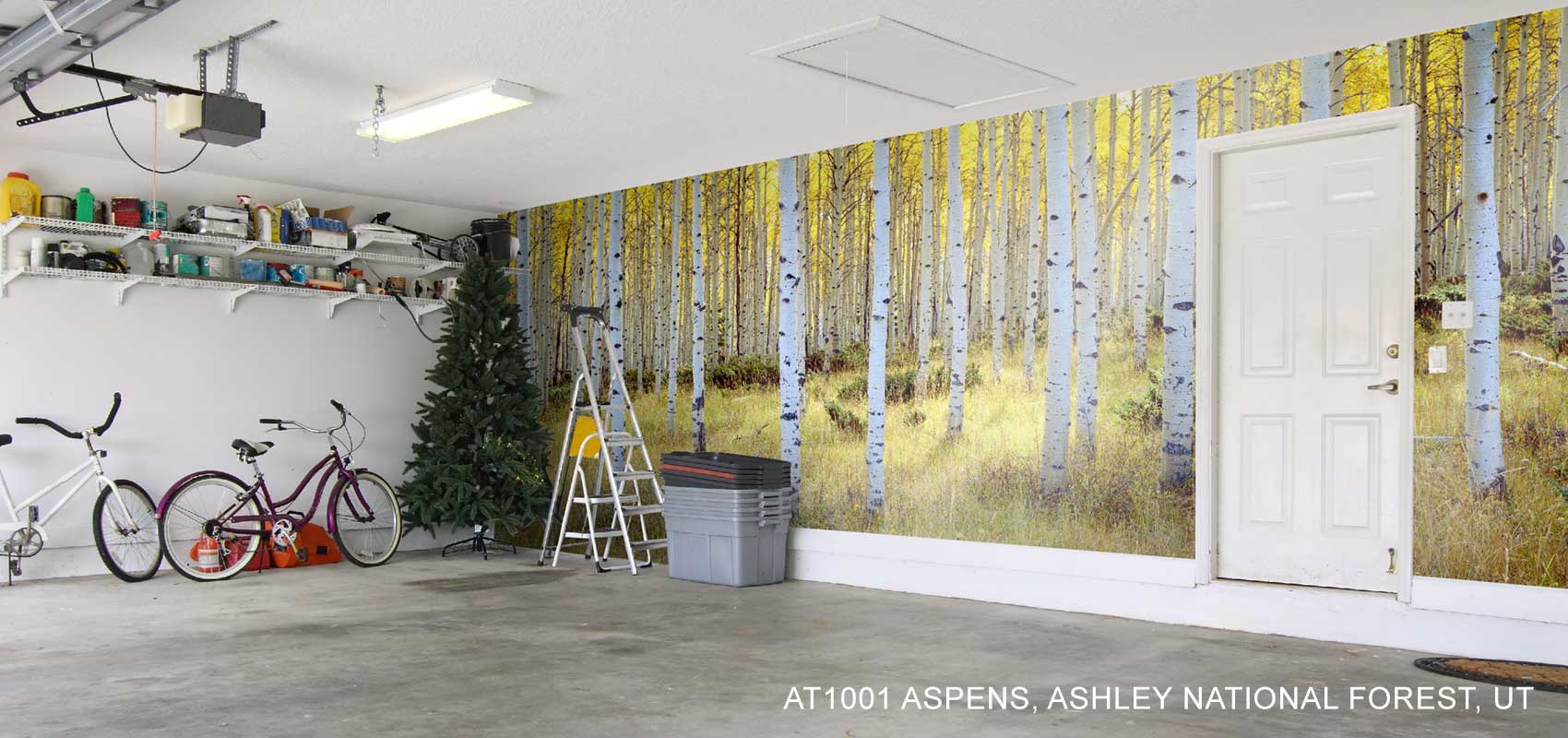 Garage Wallpapers Top Free Garage Backgrounds WallpaperAccess