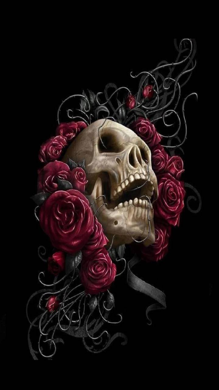 Rose Skull Wallpapers Top Free Rose Skull Backgrounds WallpaperAccess