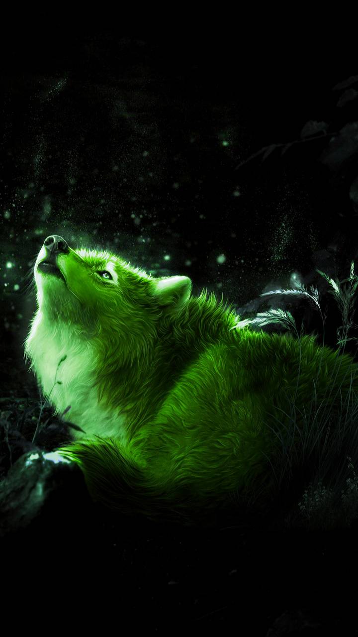 Green Wolf Wallpapers Top Free Green Wolf Backgrounds WallpaperAccess