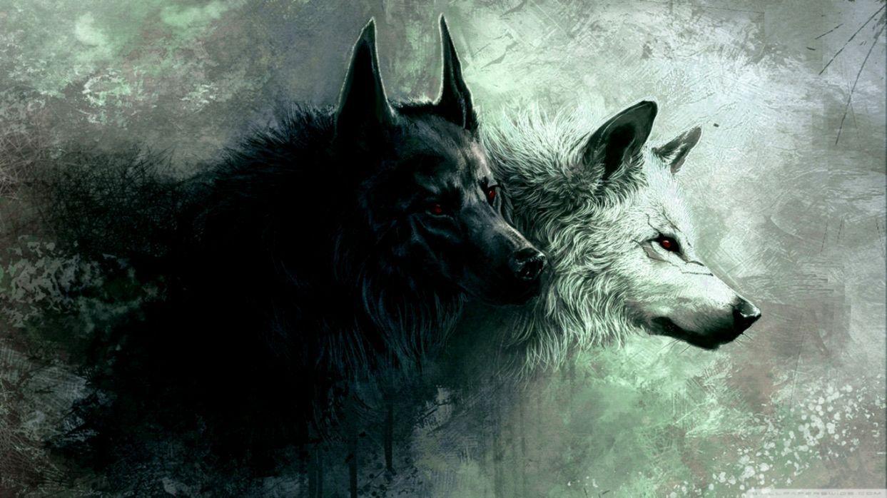 Green Wolf Wallpapers Top Free Green Wolf Backgrounds WallpaperAccess