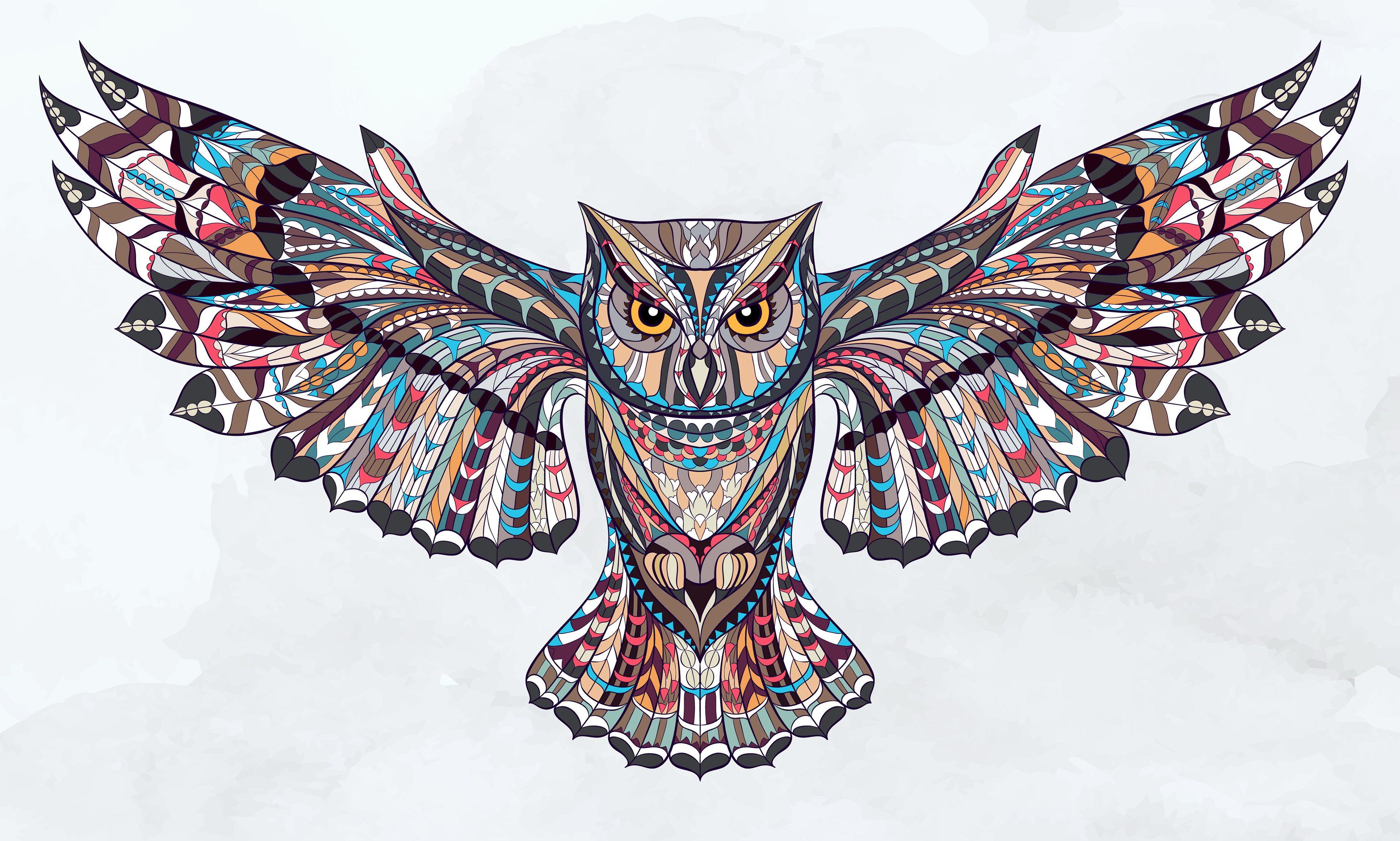 Owl Art Wallpapers Top Free Owl Art Backgrounds WallpaperAccess