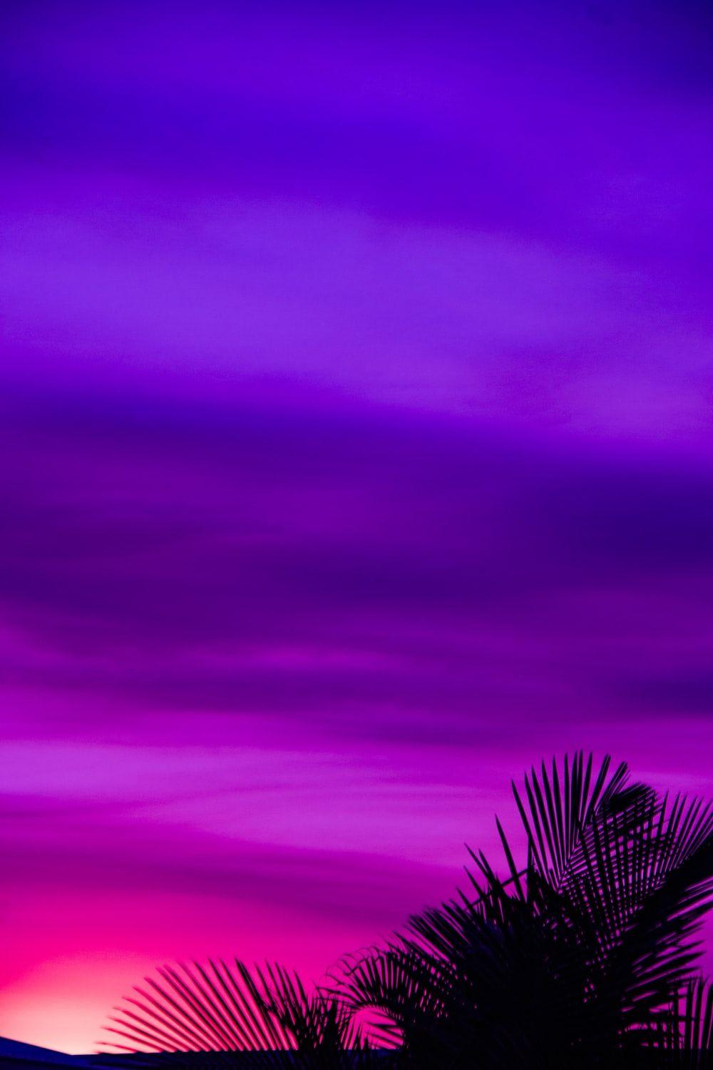 Dark Purple Phone Wallpapers Top Free Dark Purple Phone Backgrounds
