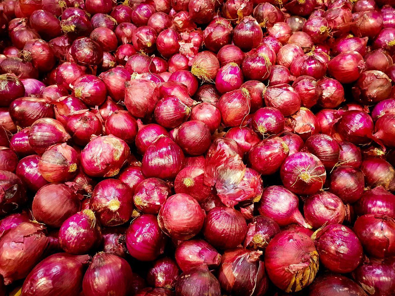 Onion Wallpapers Top Free Onion Backgrounds WallpaperAccess