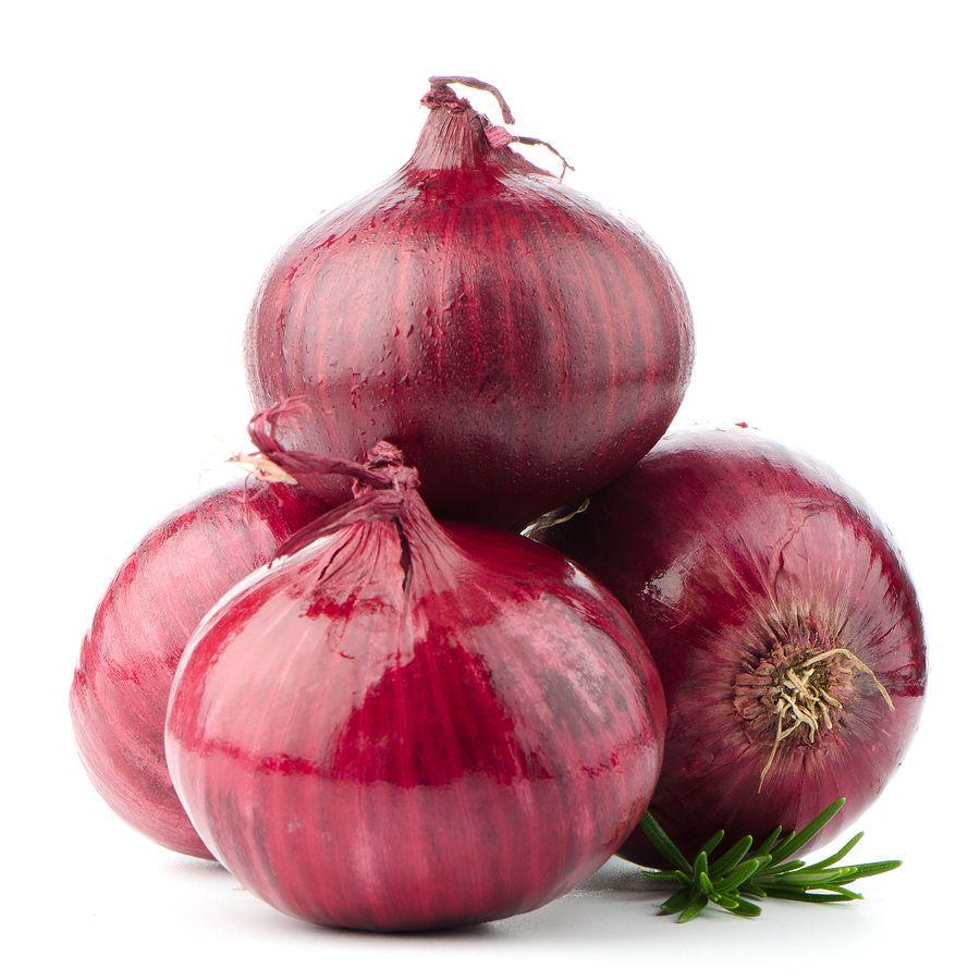 Onion Wallpapers Top Free Onion Backgrounds WallpaperAccess