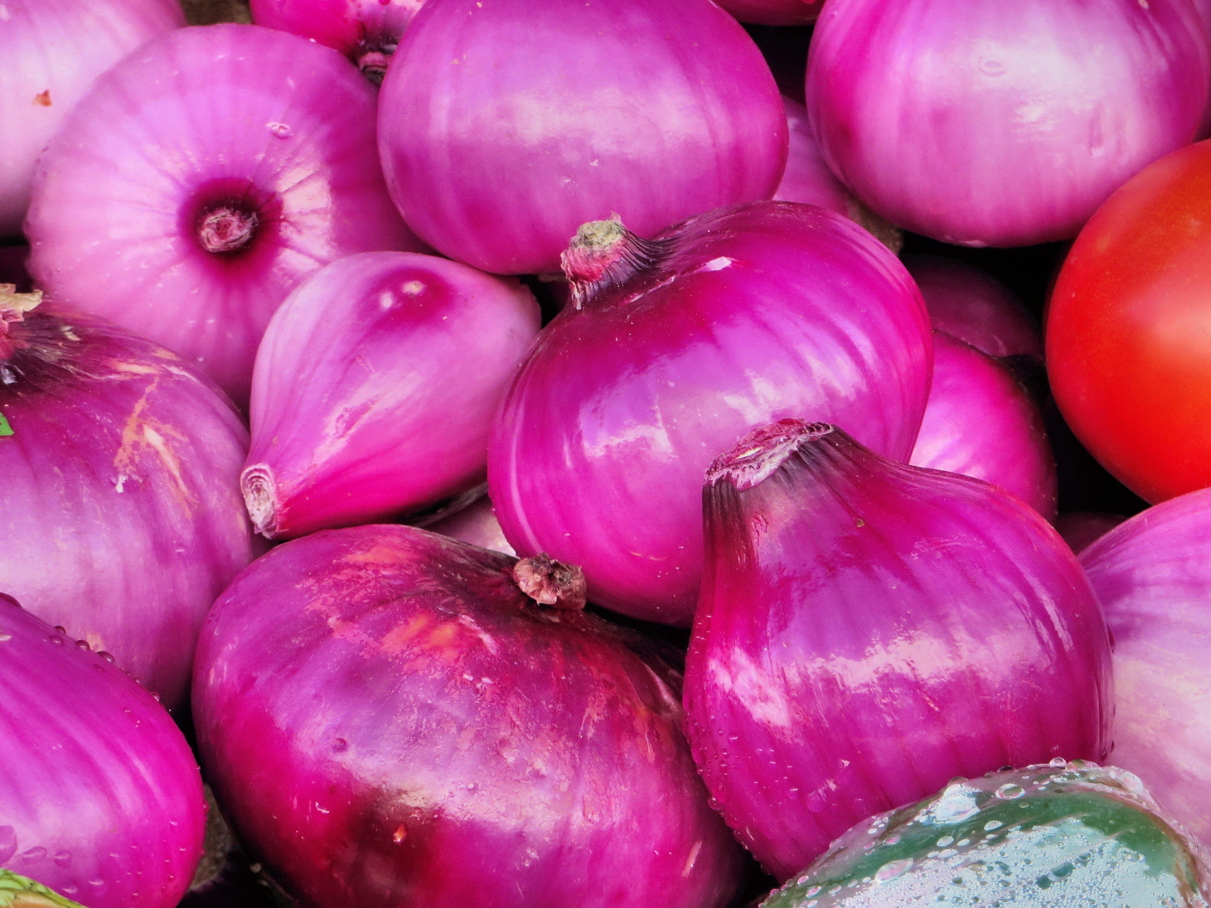 Onion Wallpapers Top Free Onion Backgrounds WallpaperAccess